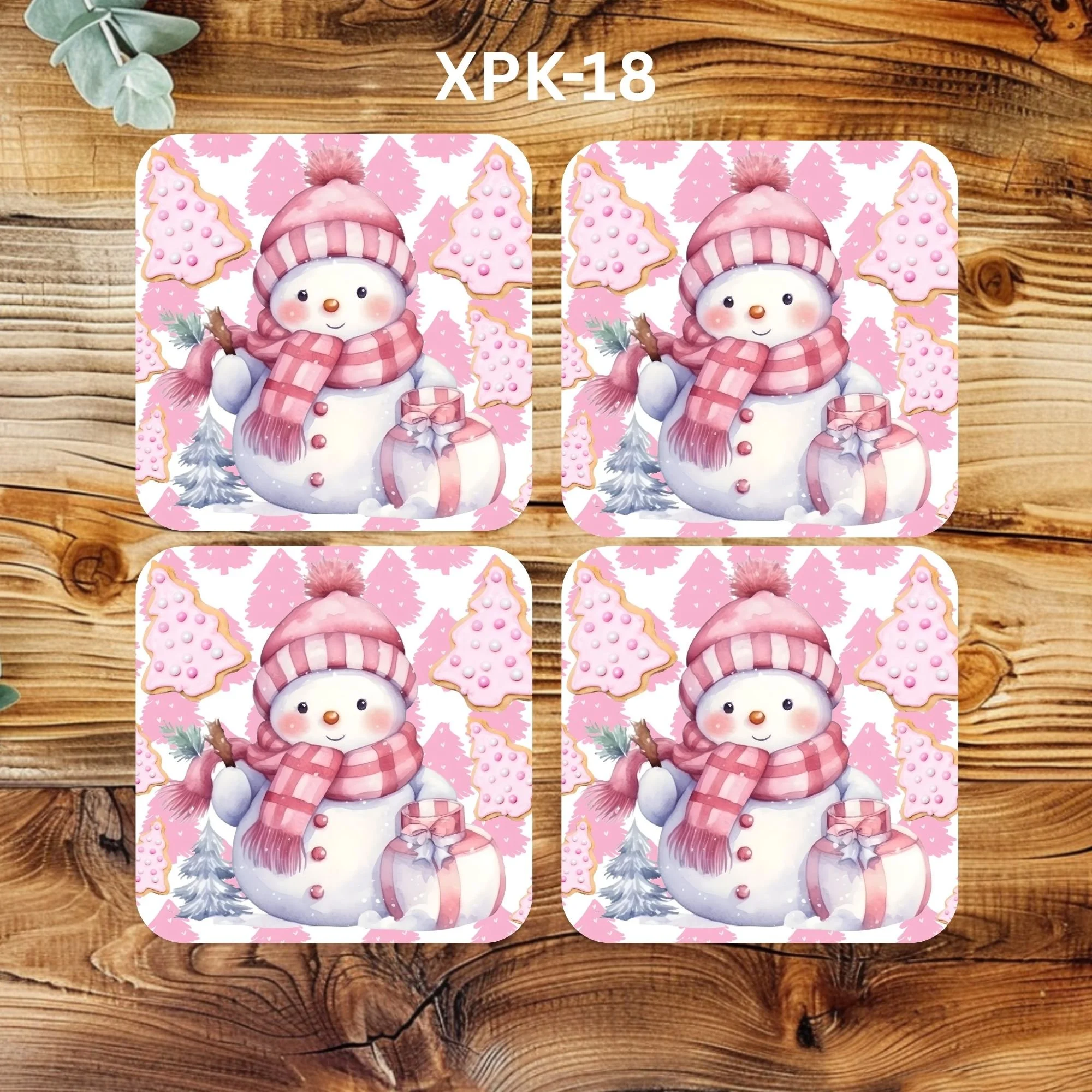 XPK-18 Coaster.jpg