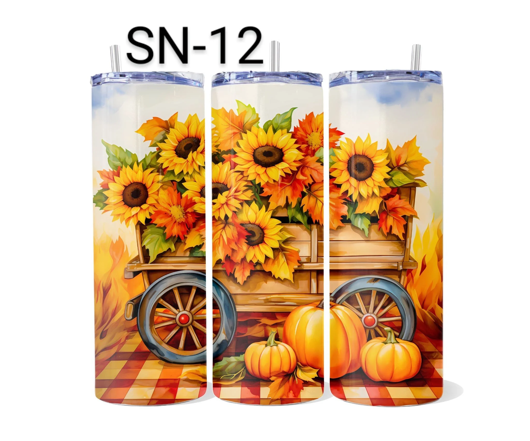 SN-12.jpeg
