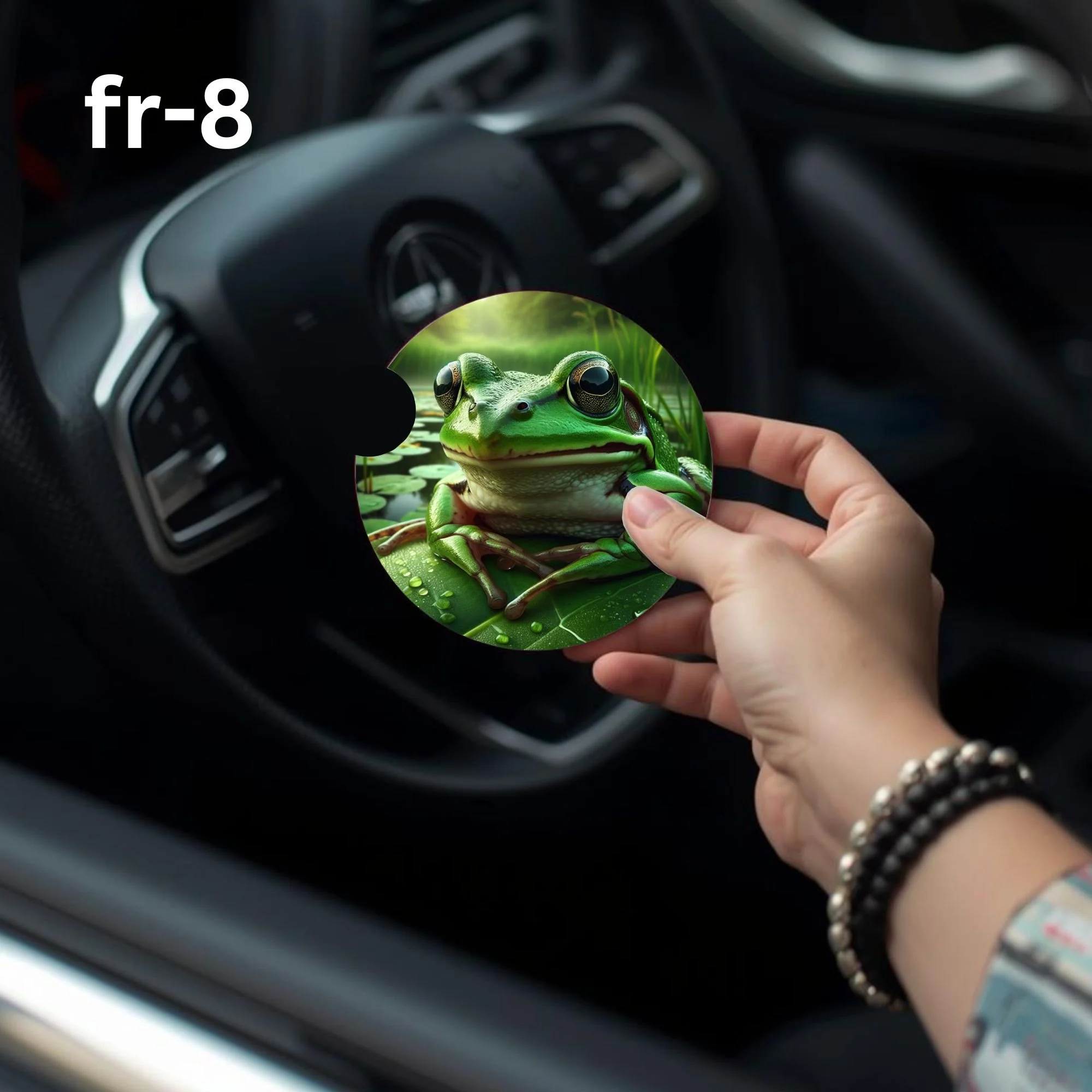 fr-8 Car Coaster.jpg