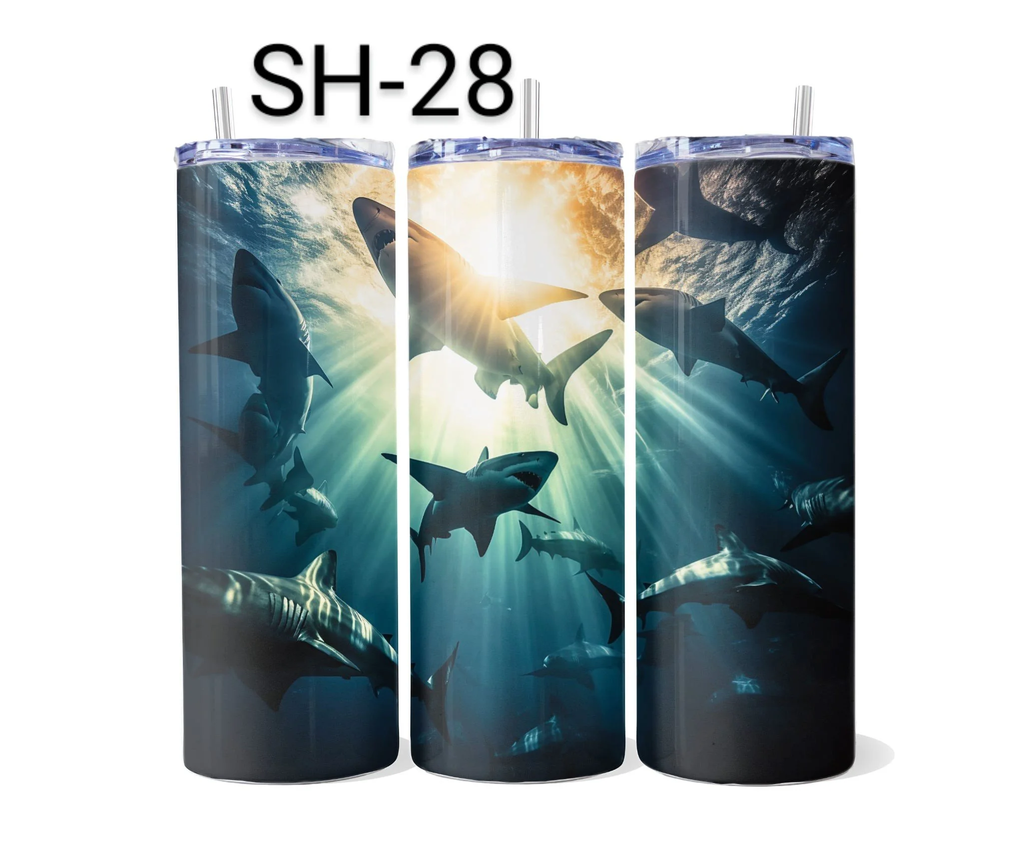 SH-28.jpeg