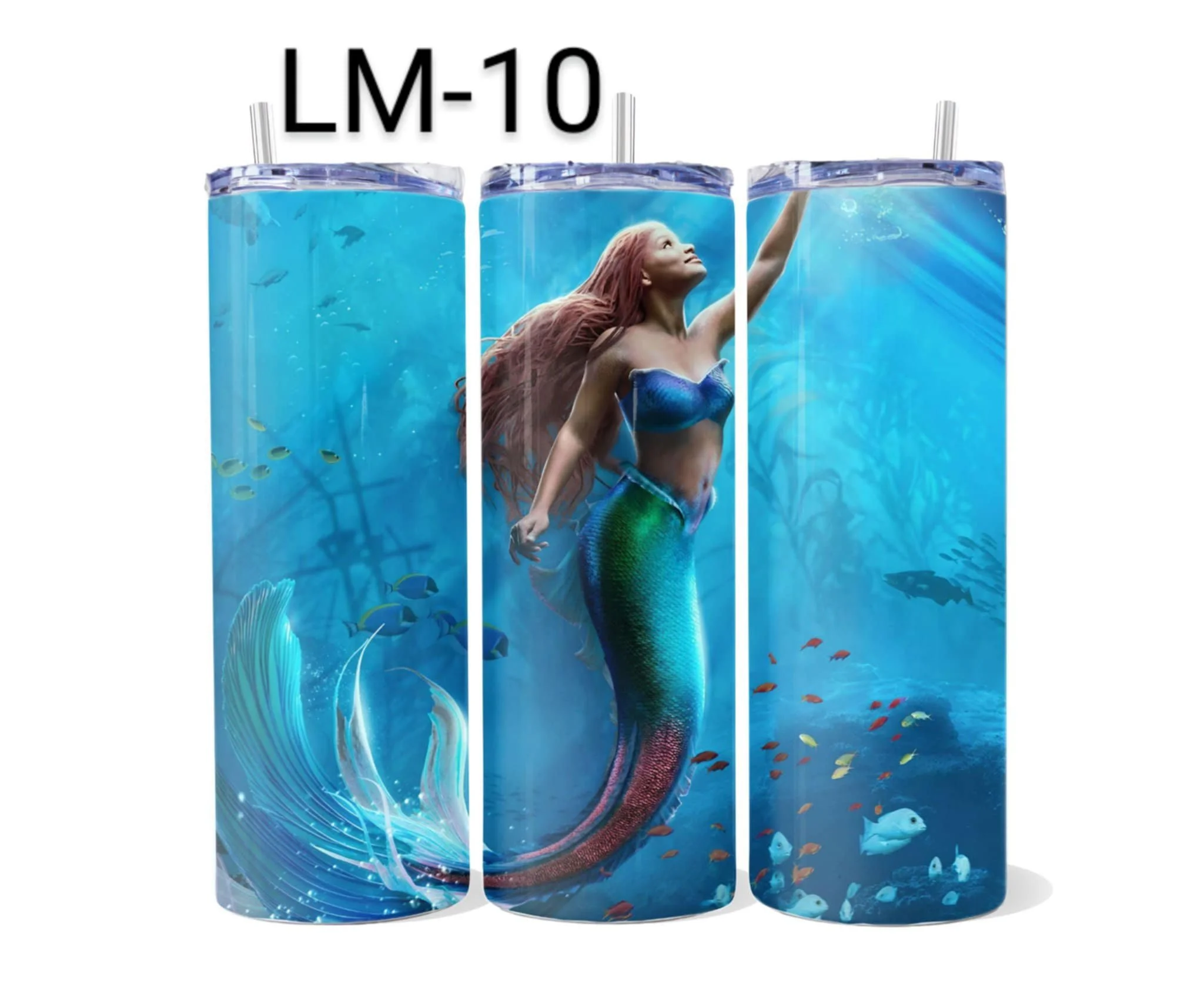 LM-10.jpg