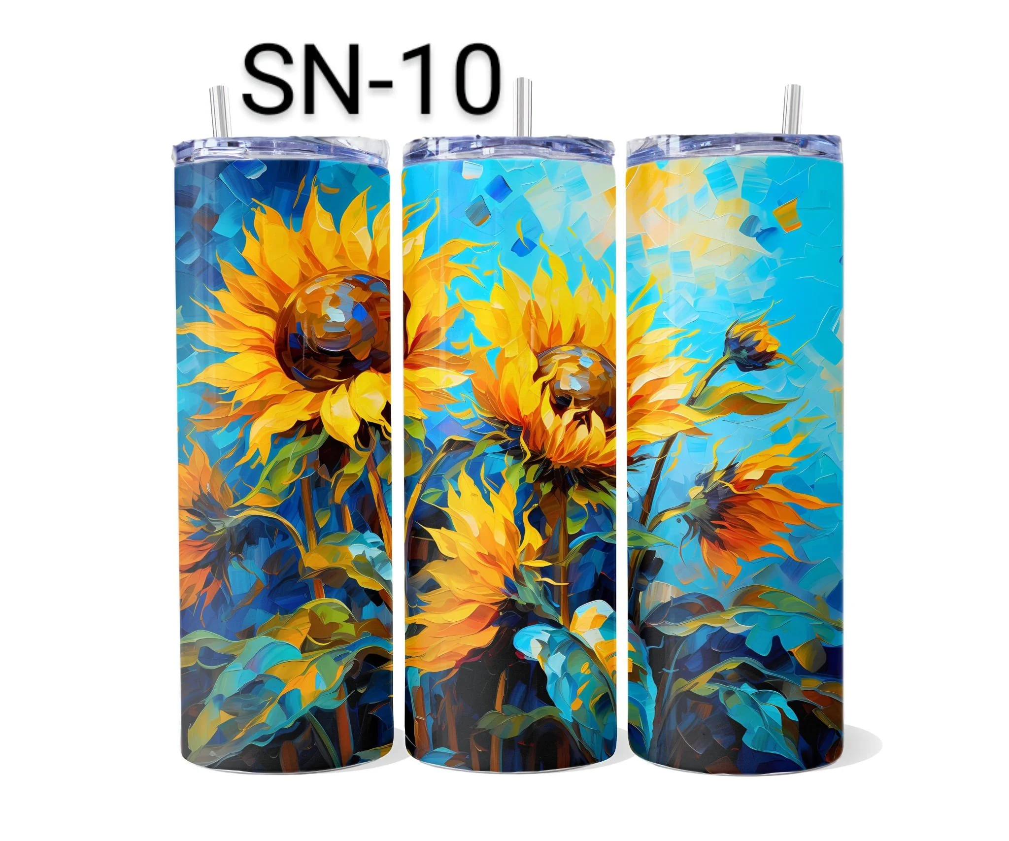 SN-10.jpeg
