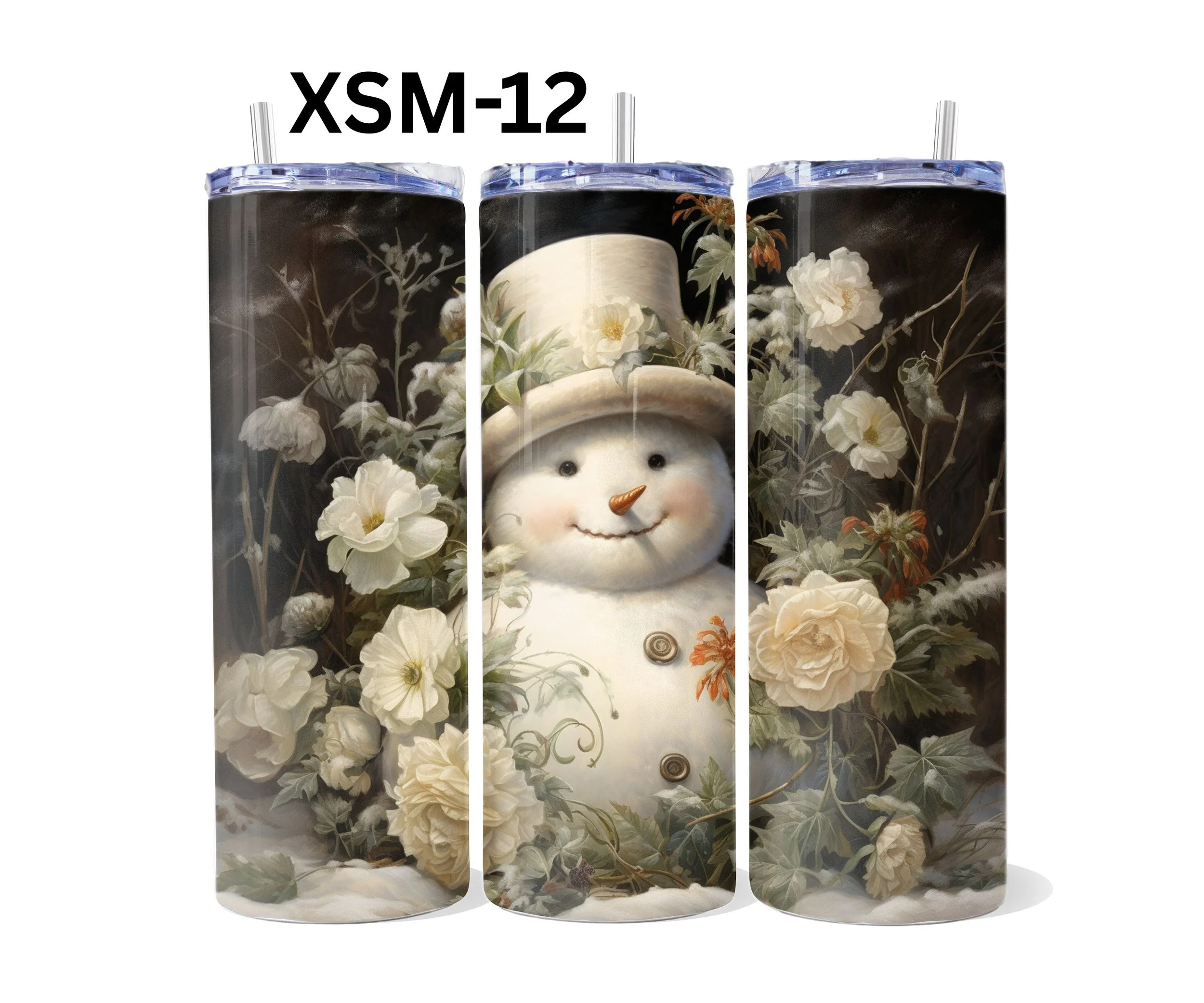 XSM-12.jpg