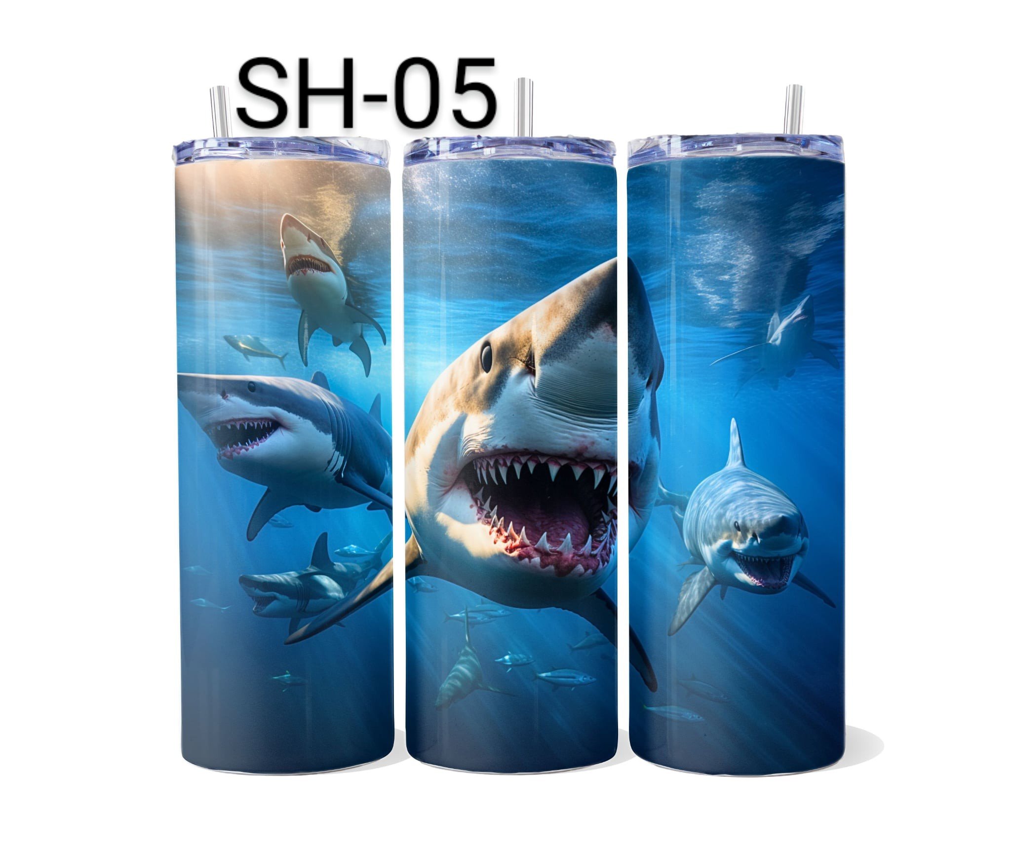 SH-05.jpeg