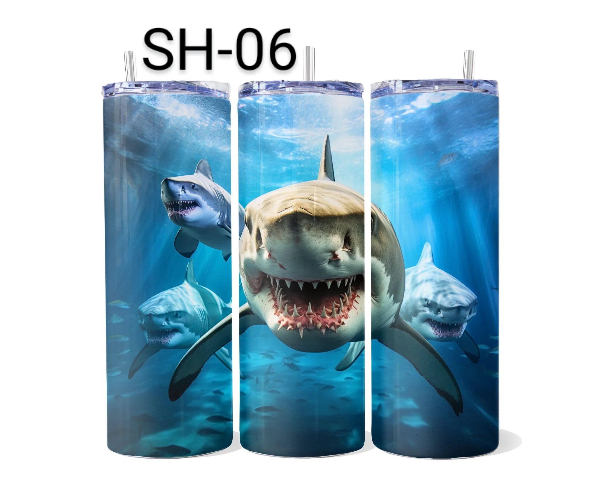 SH-06.jpeg