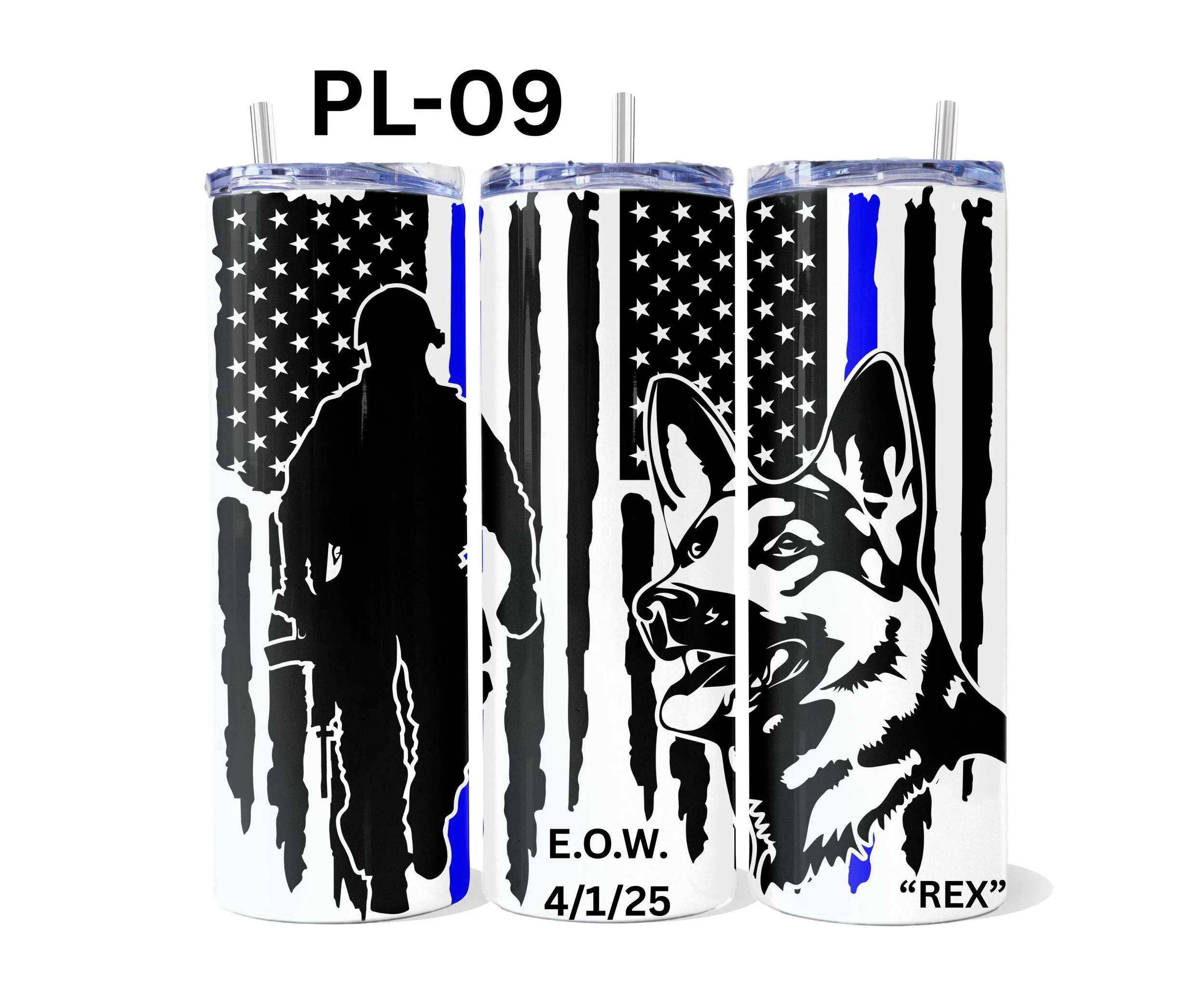 PL-09.jpg