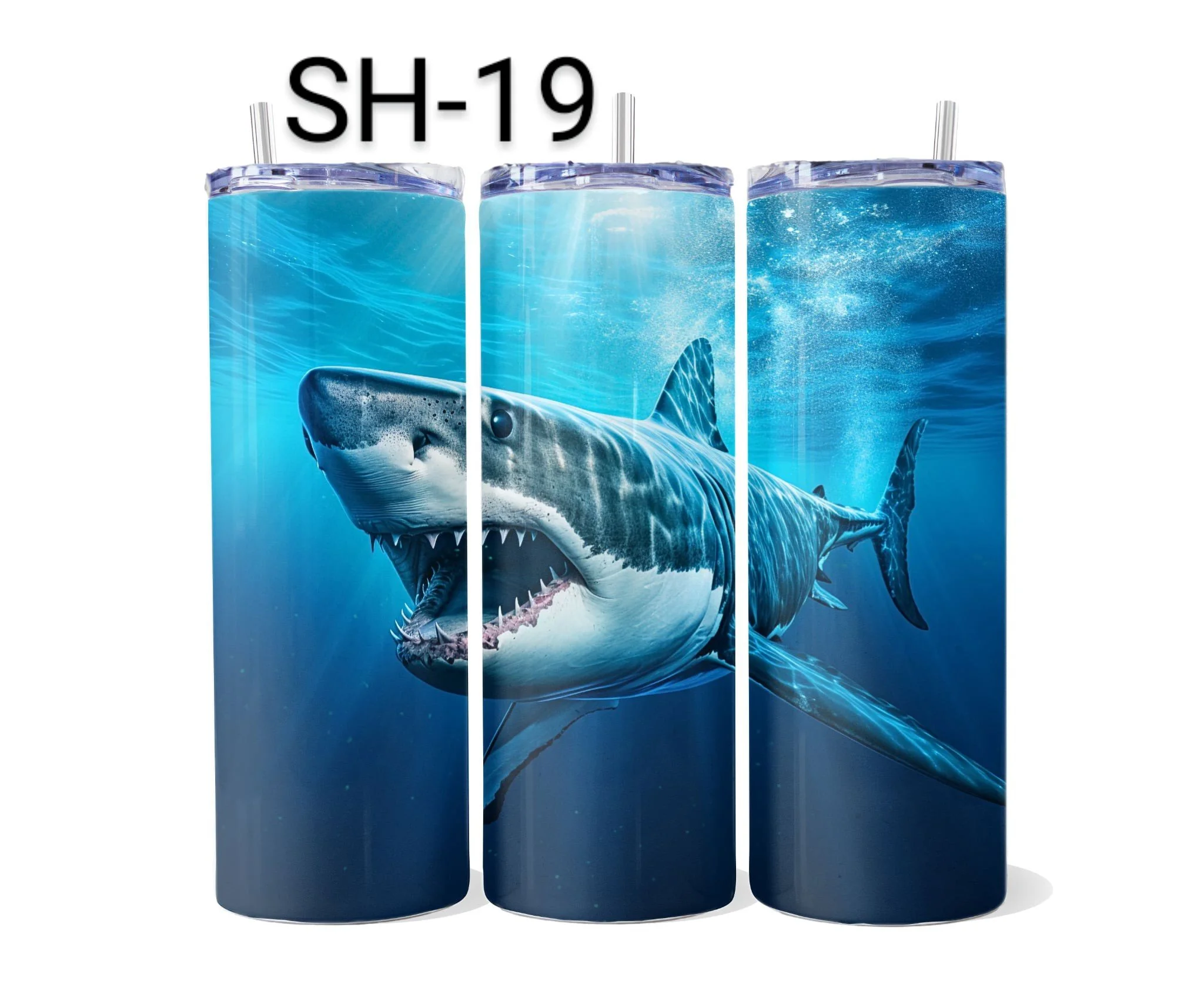 SH-19.jpeg