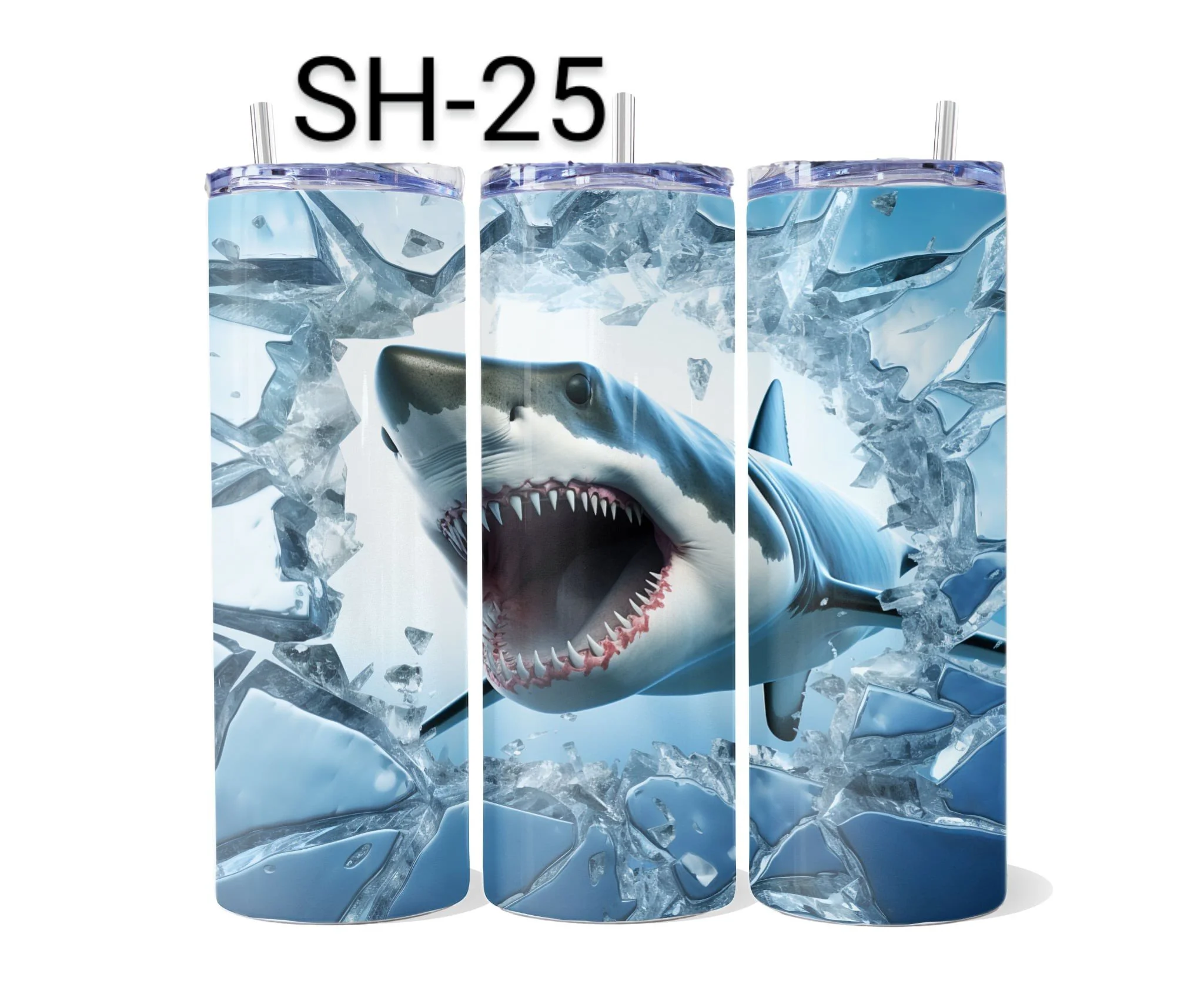 SH-25.jpeg