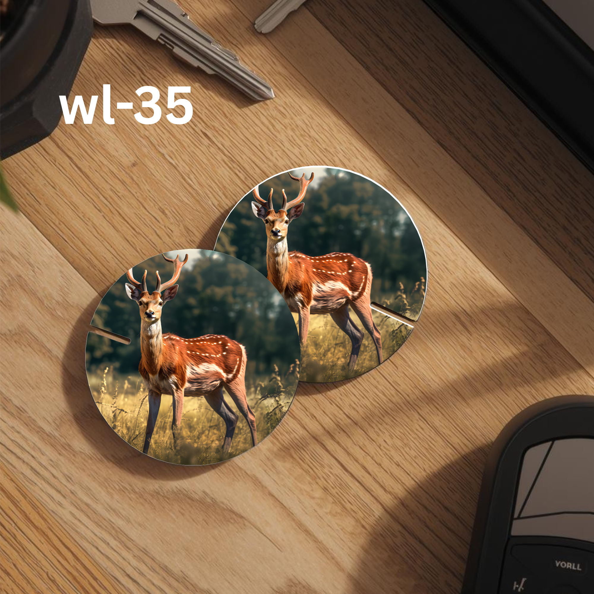 wl-35 Car Coaster.png