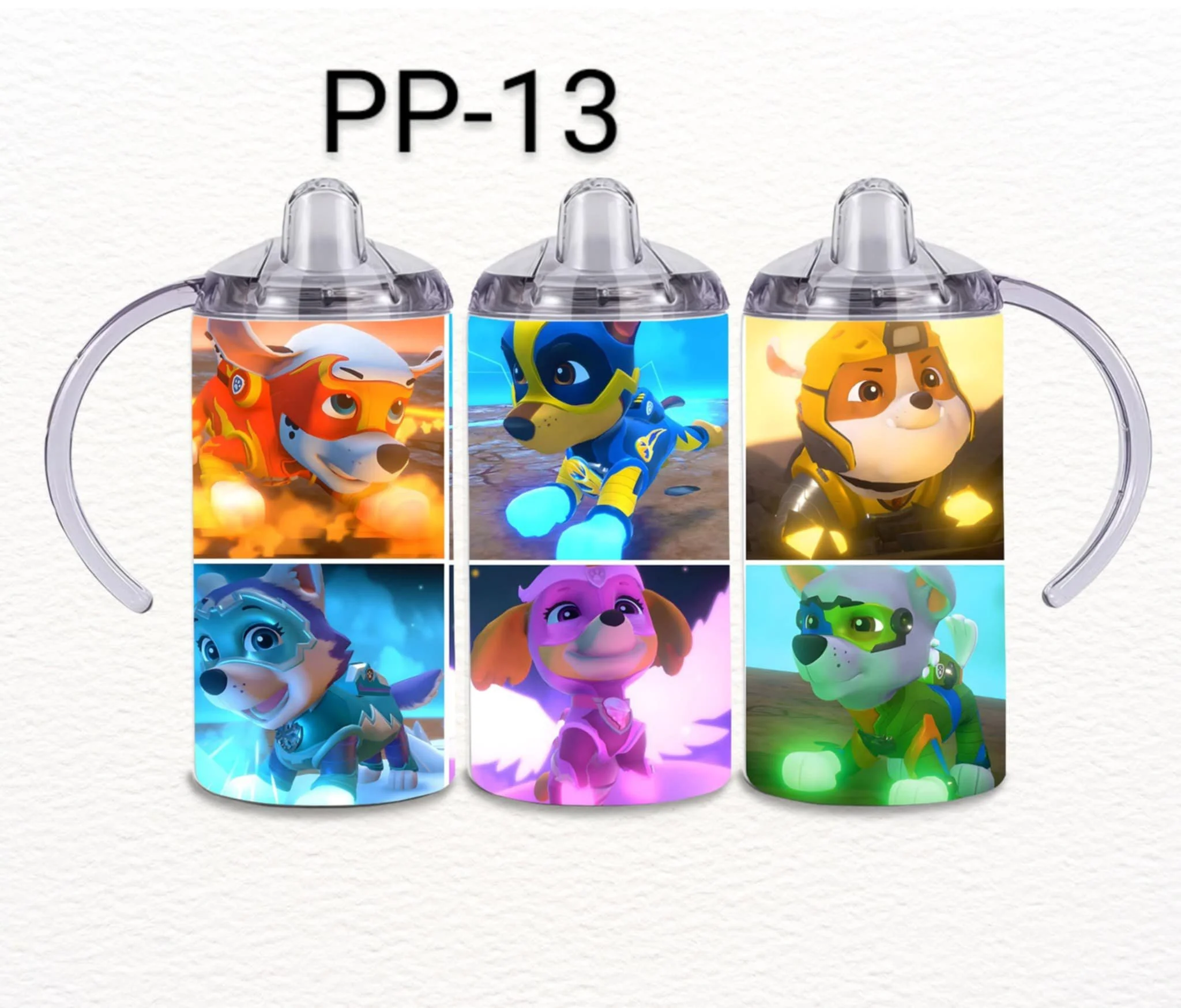 PP-13.jpg