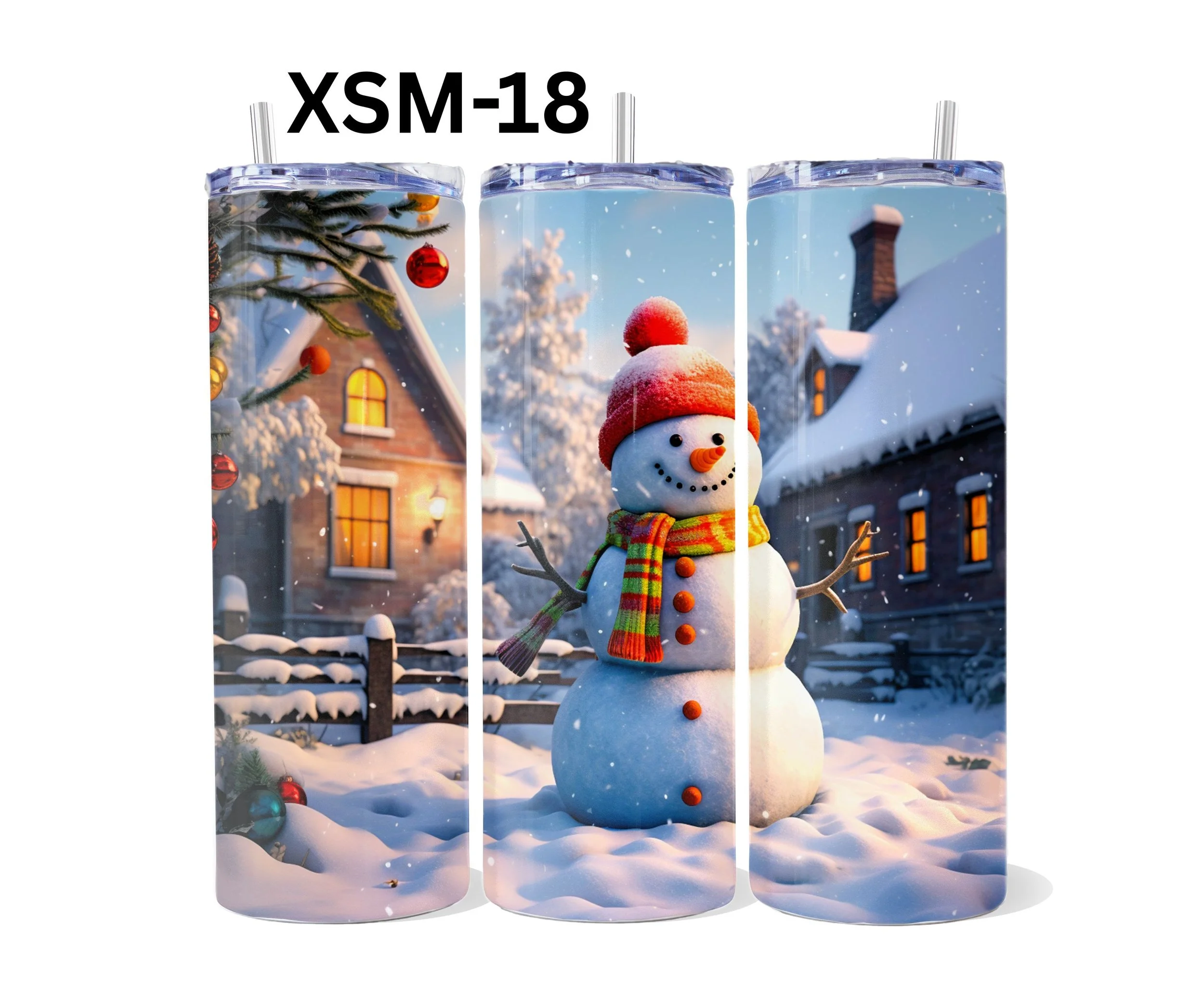 XSM-18.jpg