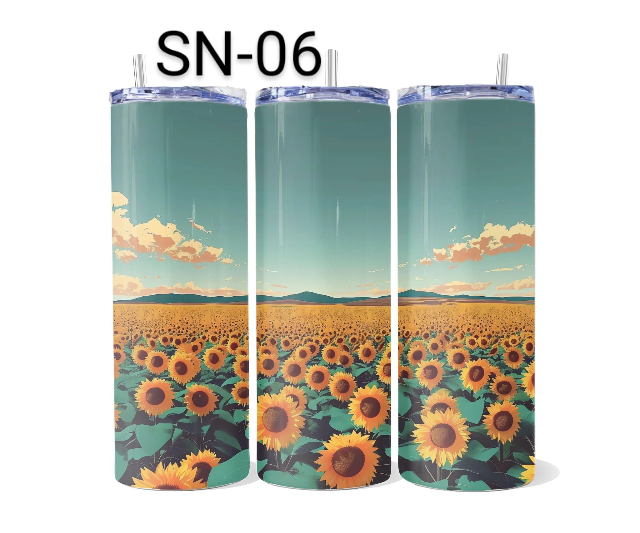 SN-06.jpeg