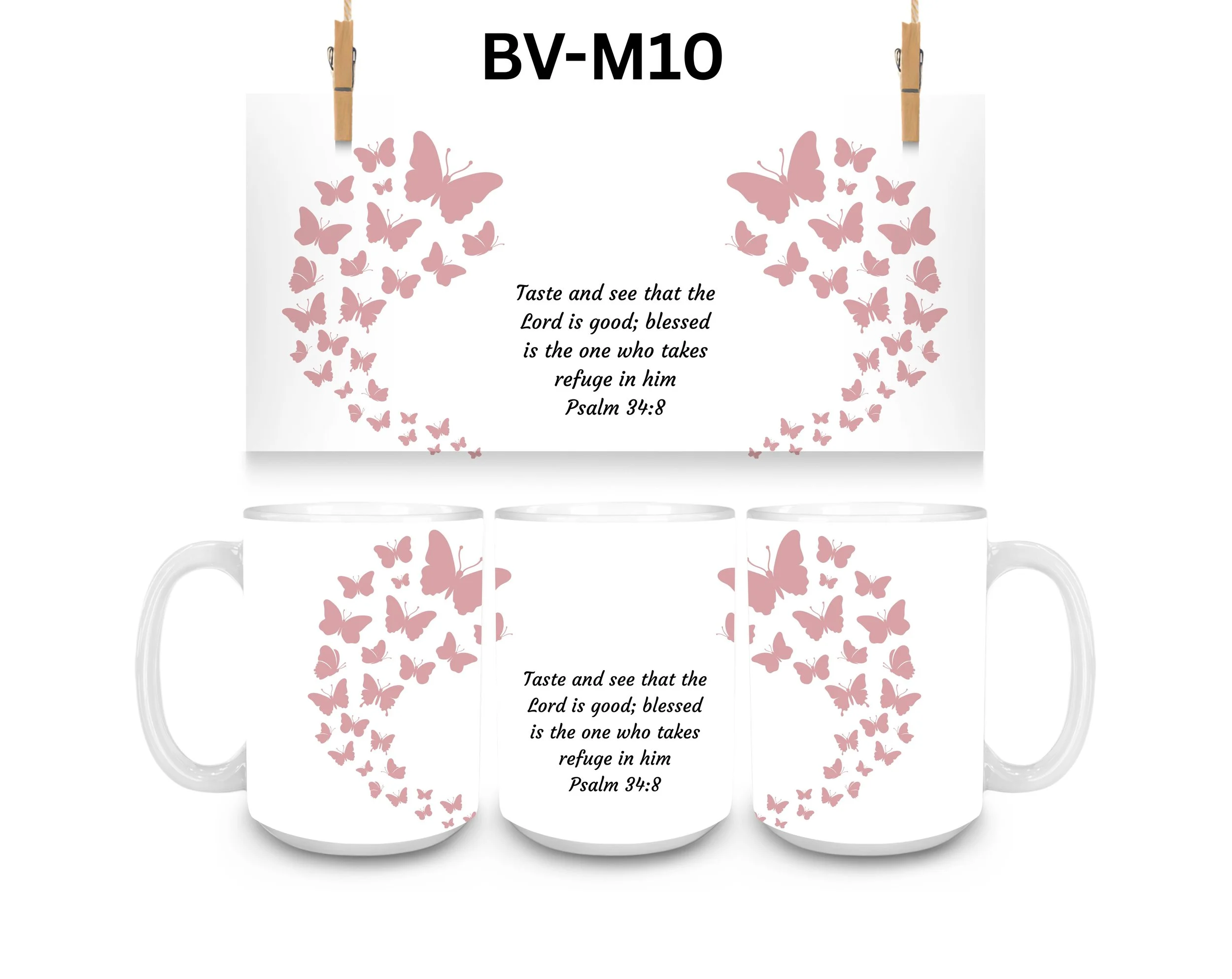 BV-M10.jpg