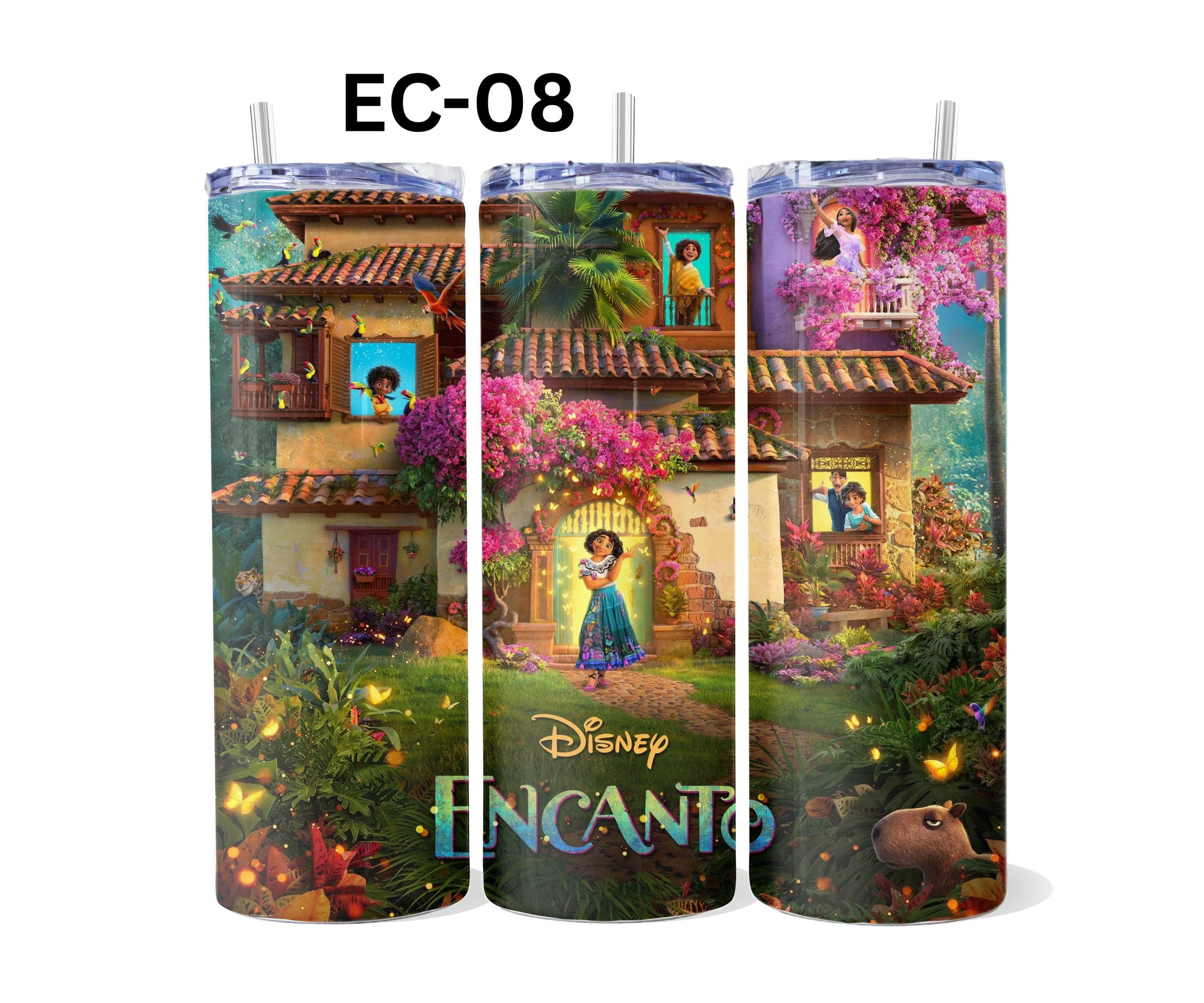 EC-08.jpg