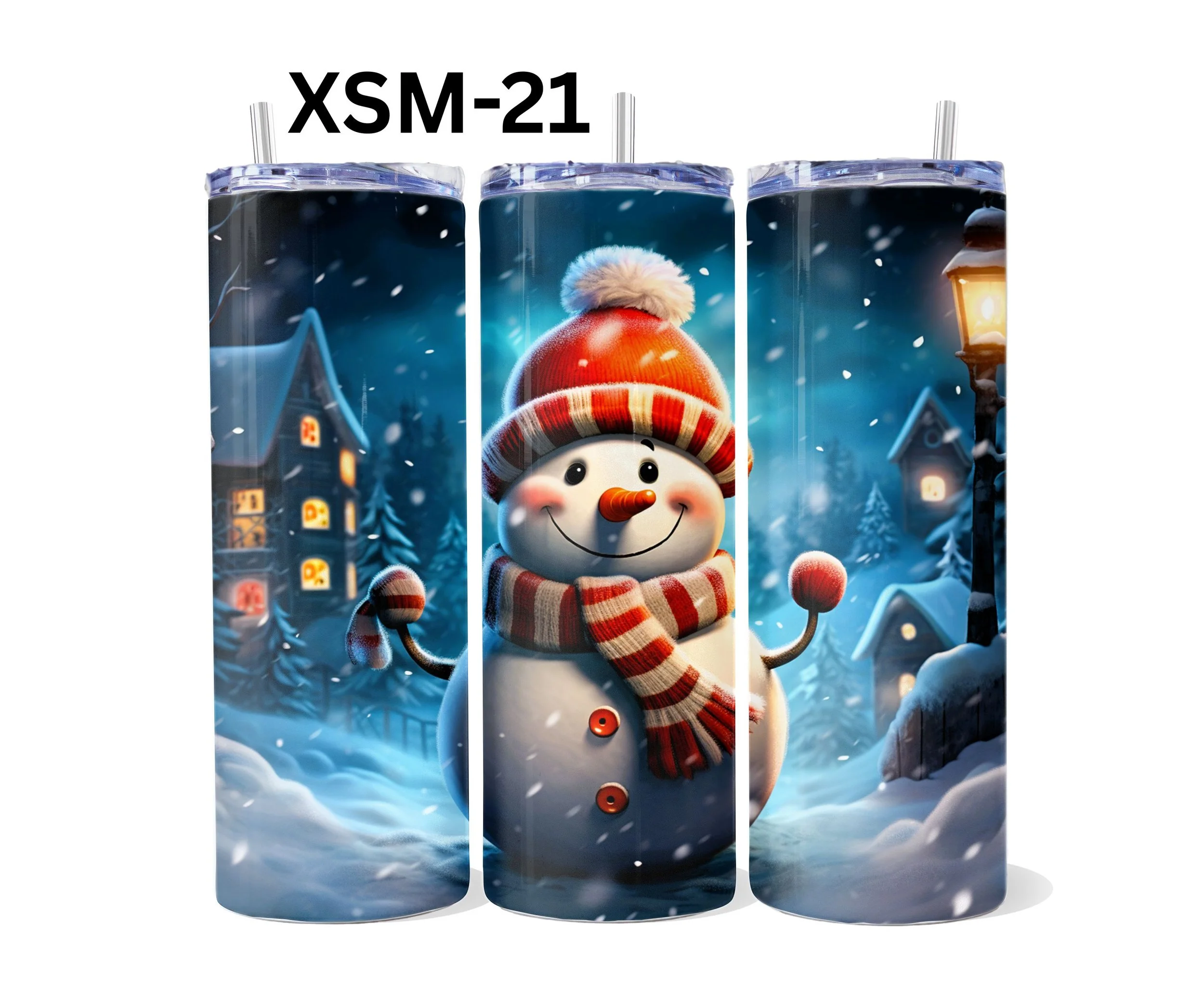 XSM-21.jpg