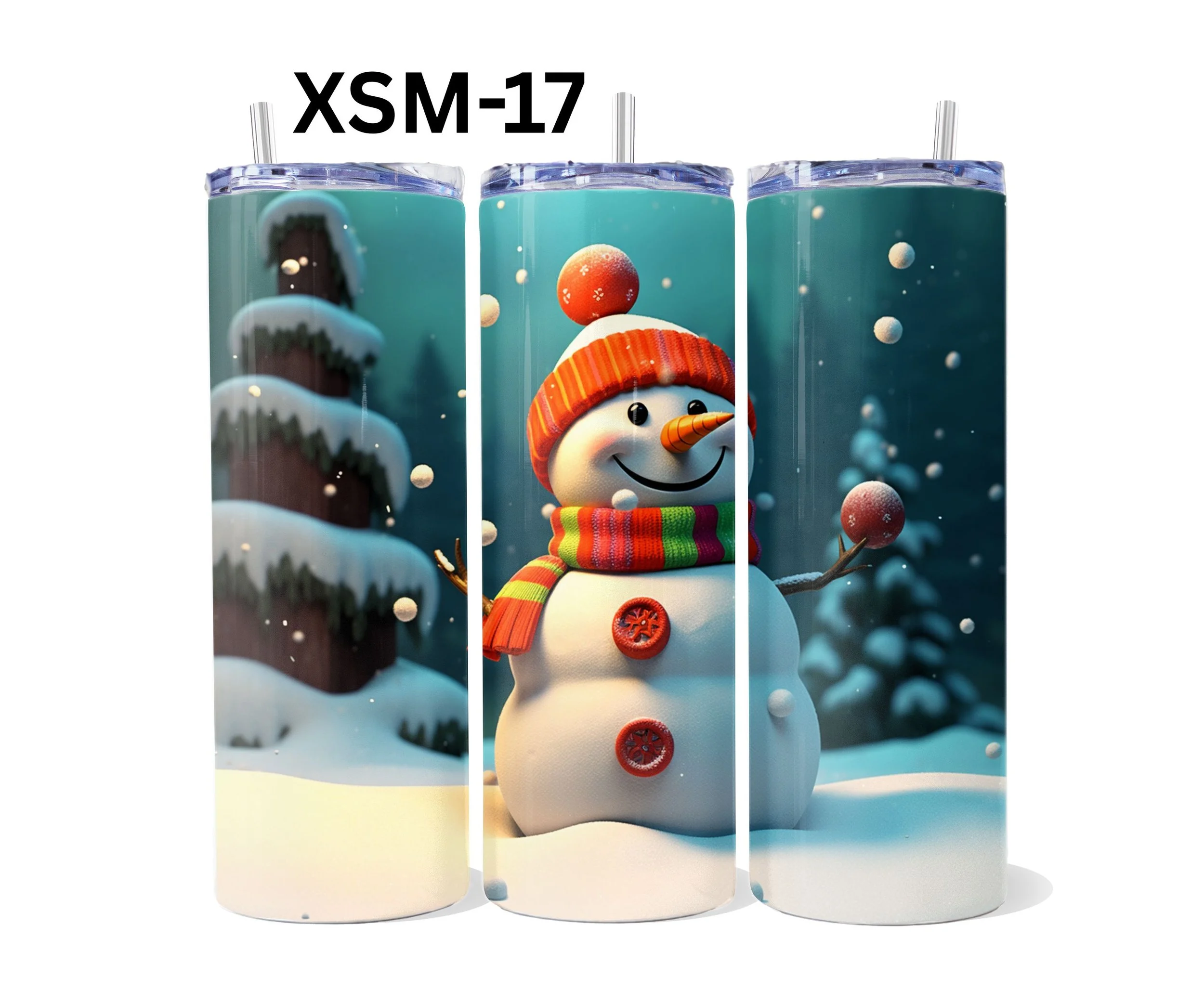 XSM-17.jpg