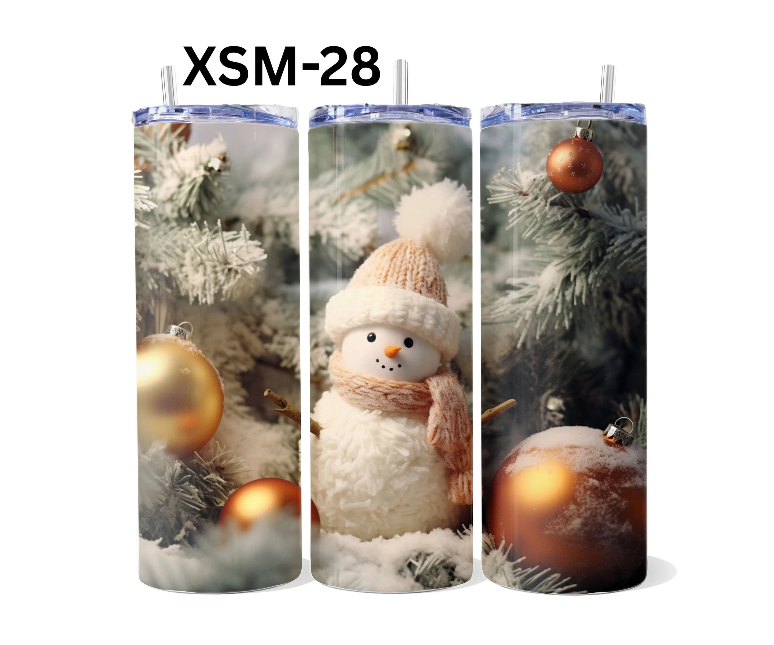 XSM-28.jpg