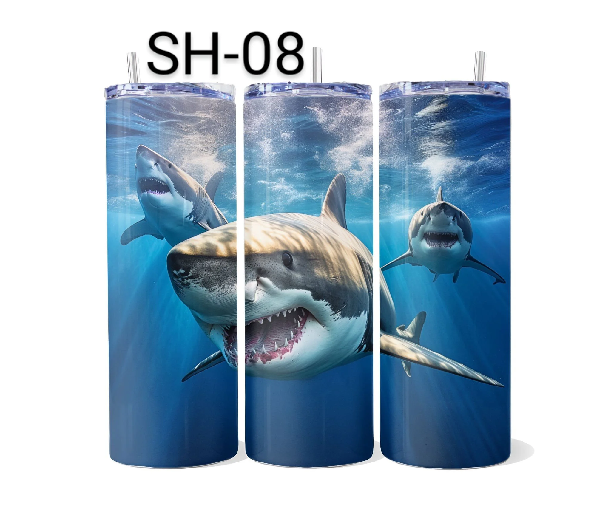 SH-08.jpeg