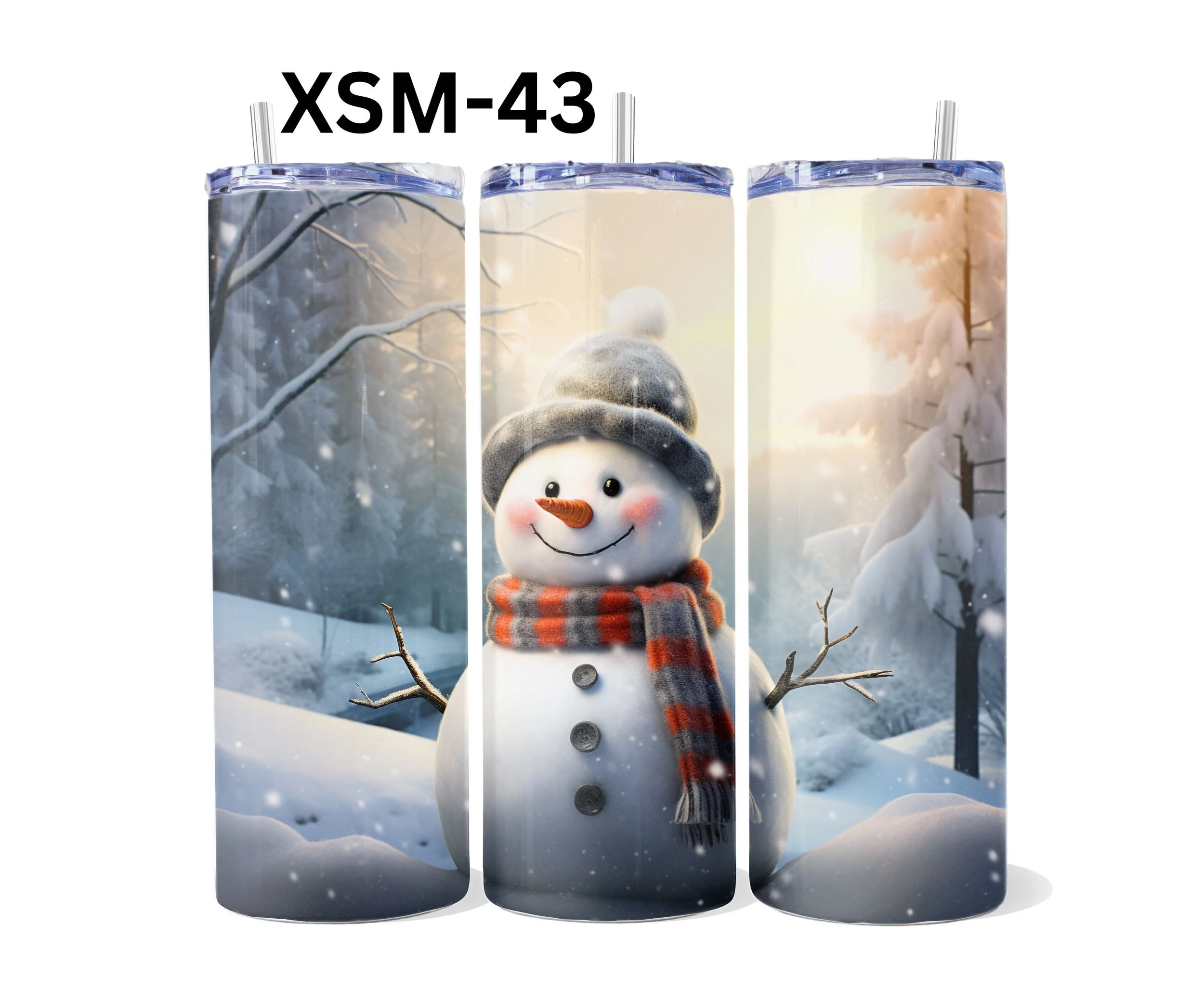 XSM-43.jpg