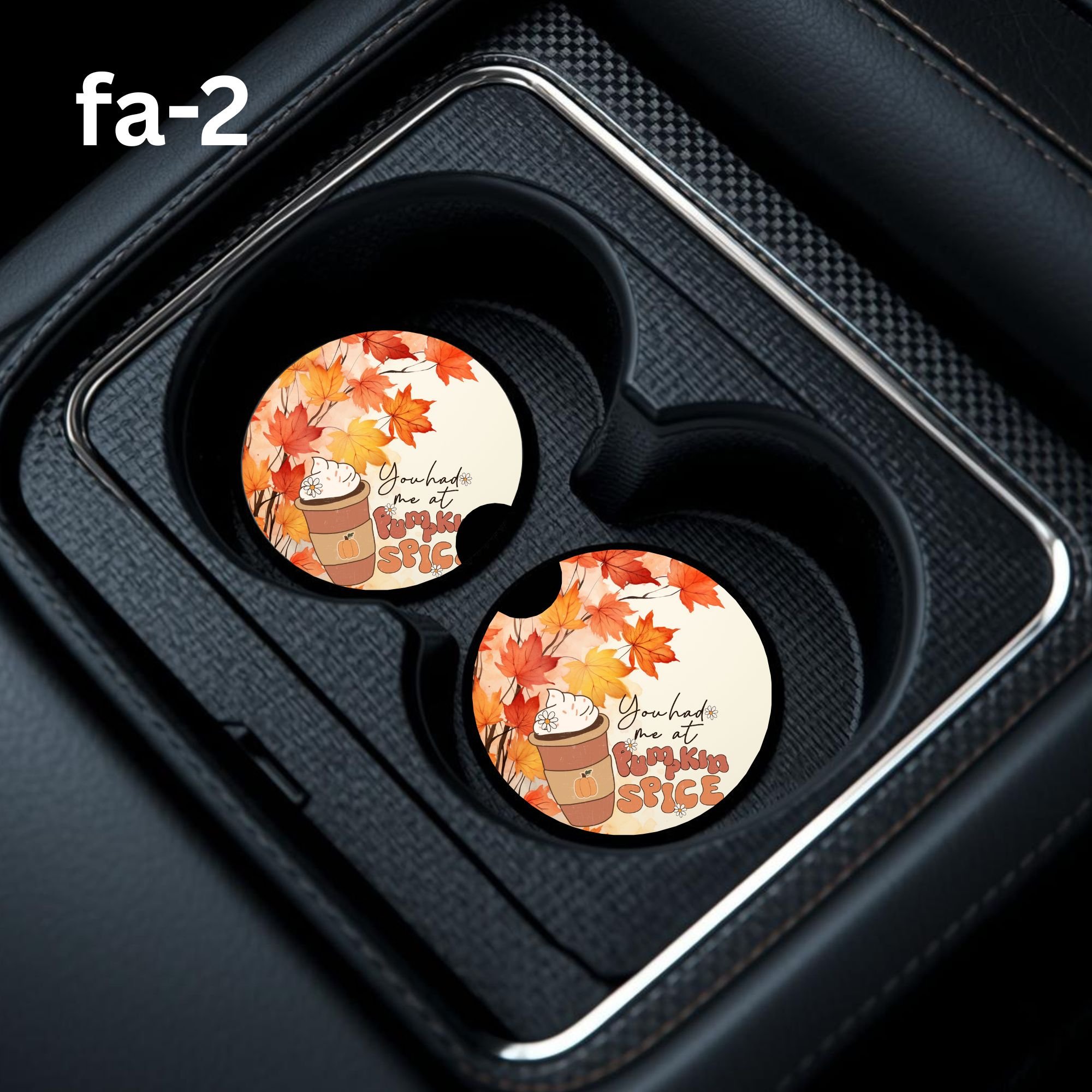 fa-2 Car Coaster.jpg