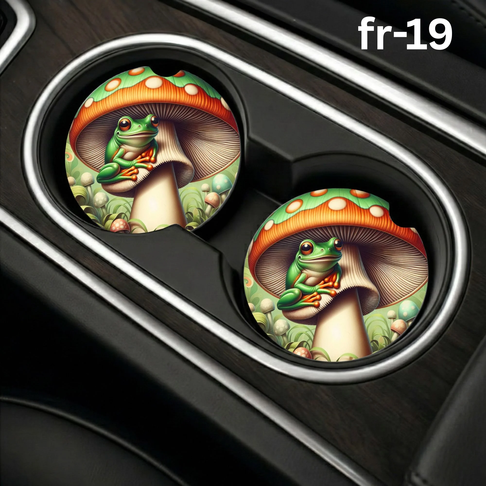 fr-19 Car Coaster.jpg