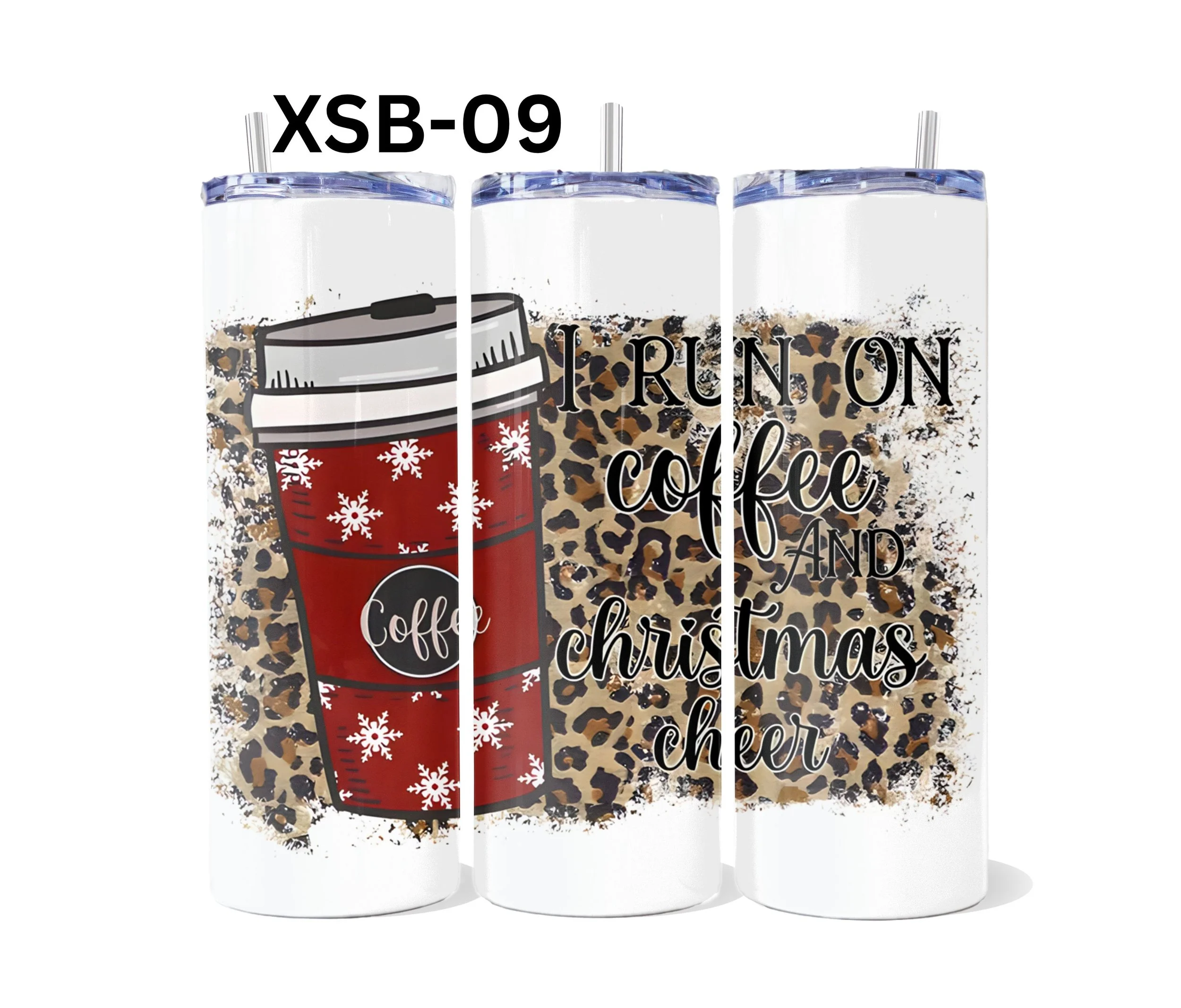 XSB-09.jpg