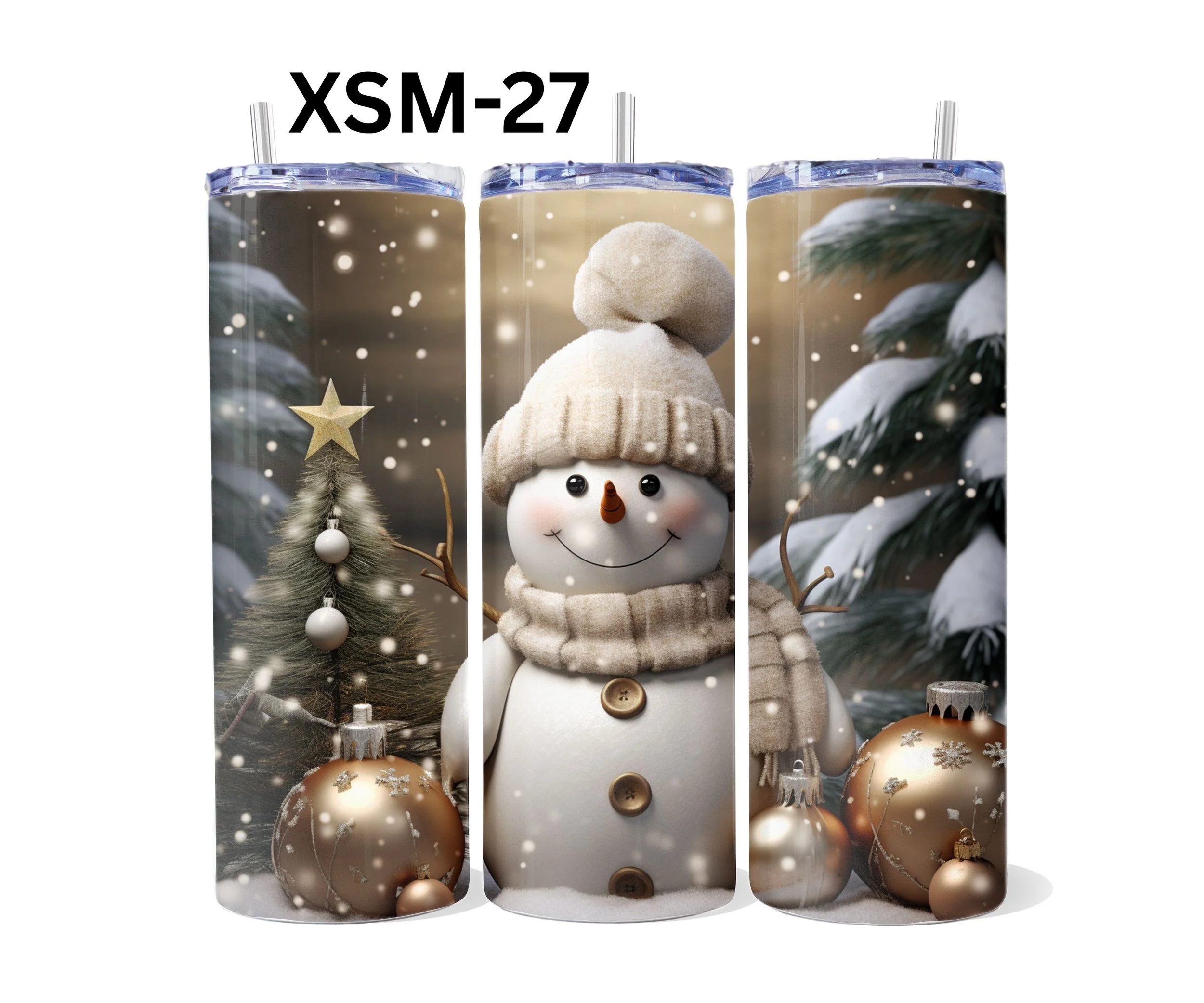 XSM-27.jpg