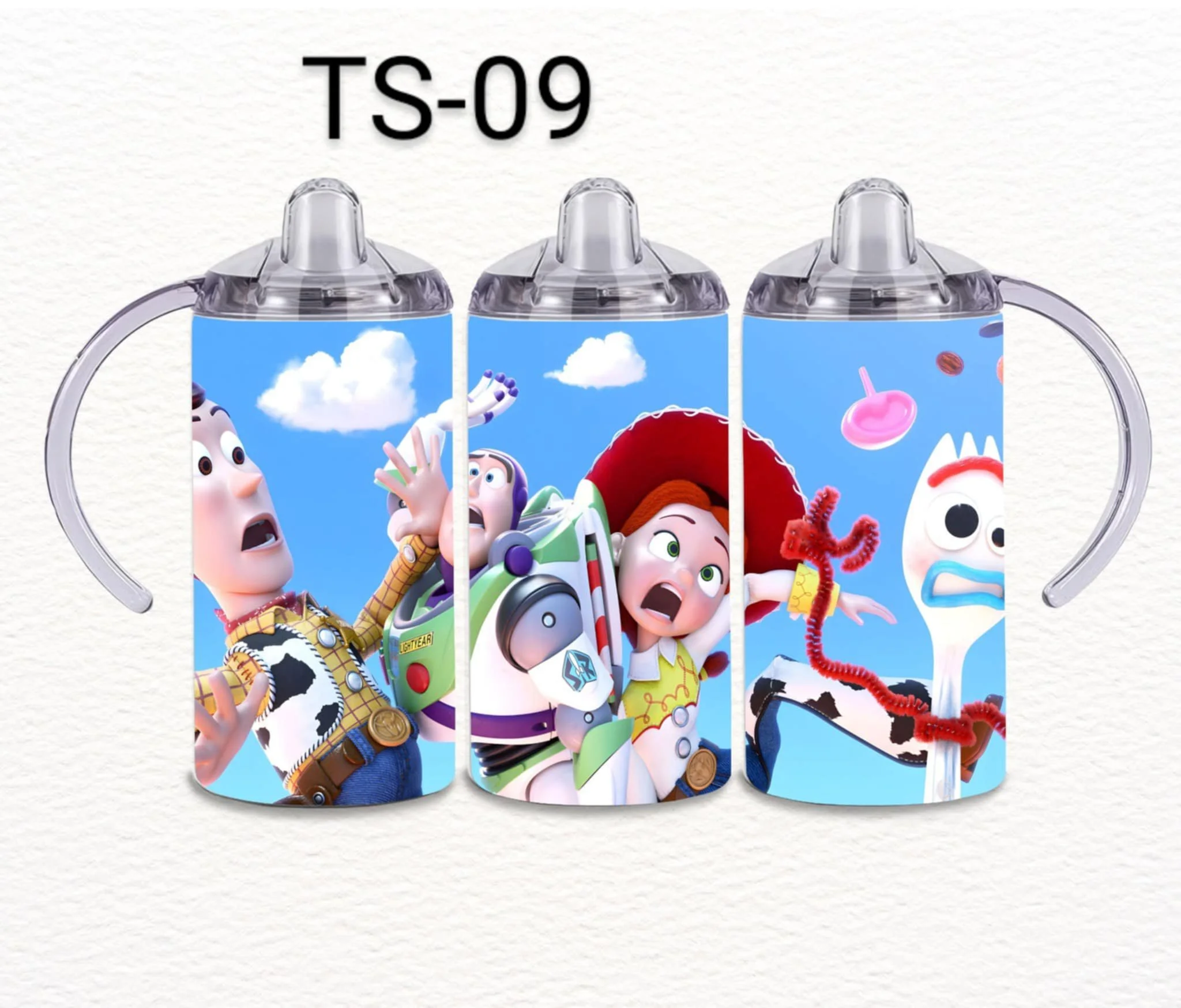 TS-09.jpg