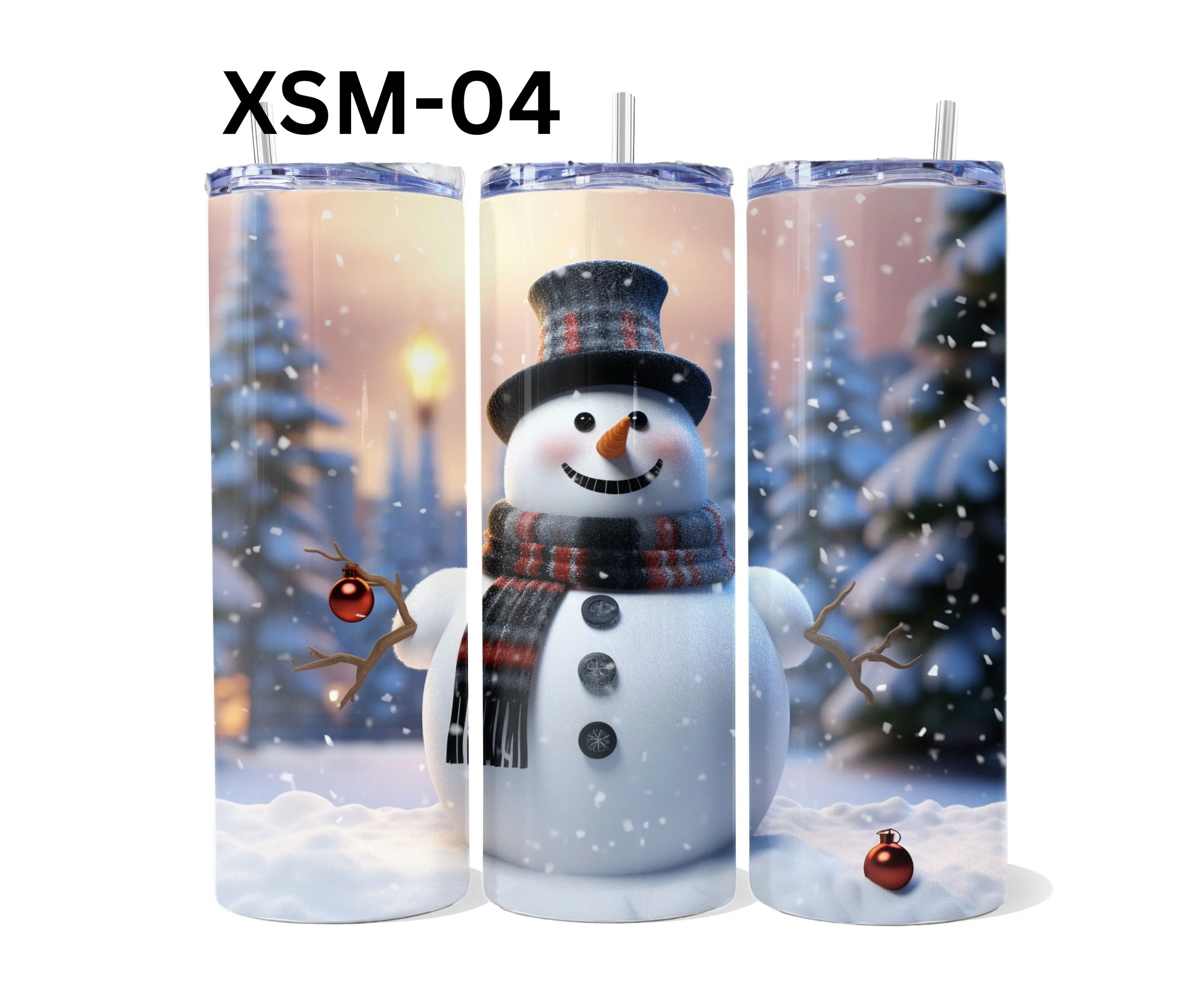 XSM-04.jpg