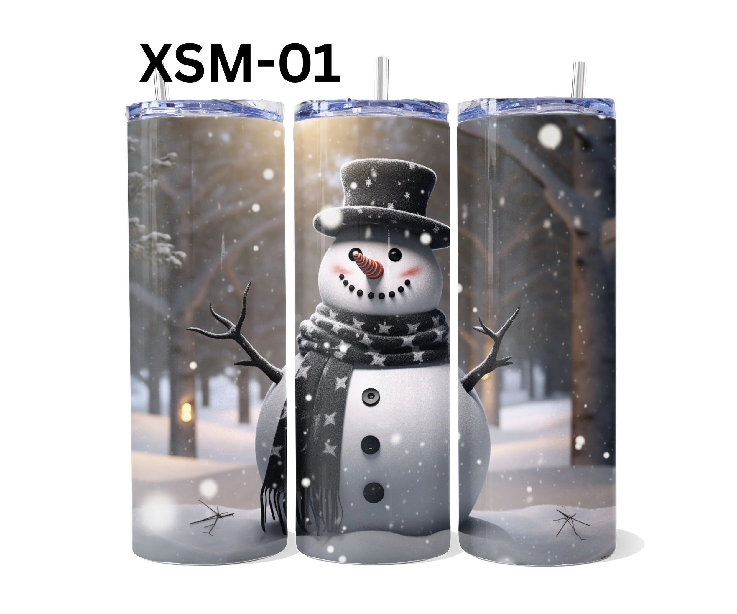 XSM-01.jpg