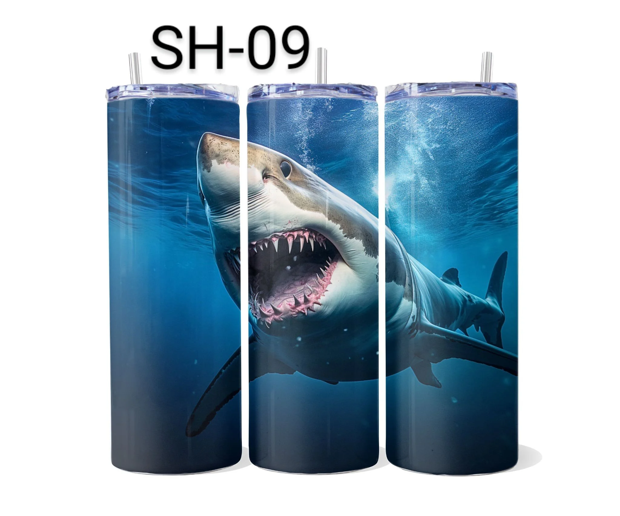 SH-09.jpeg