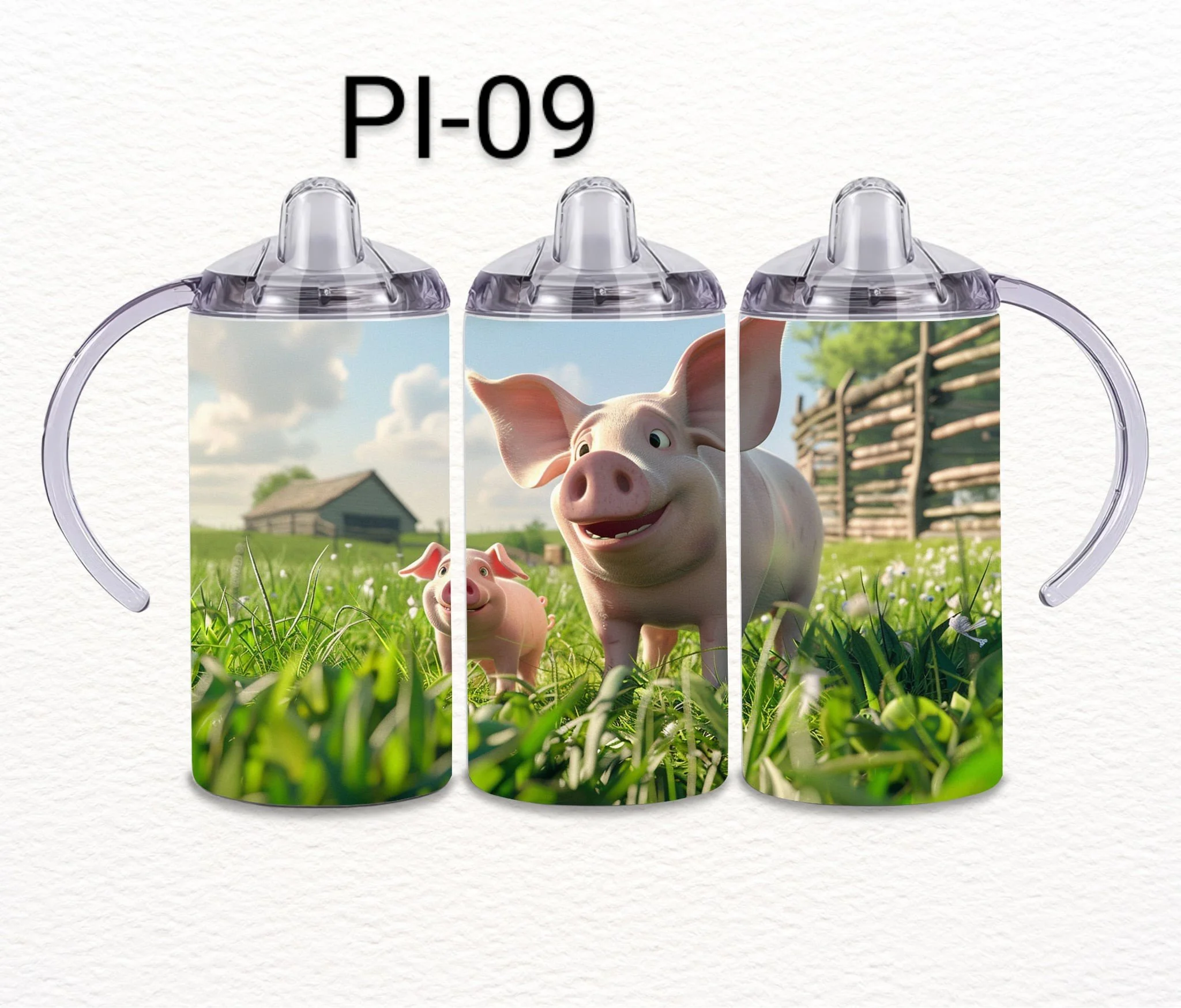 PI-09.jpeg