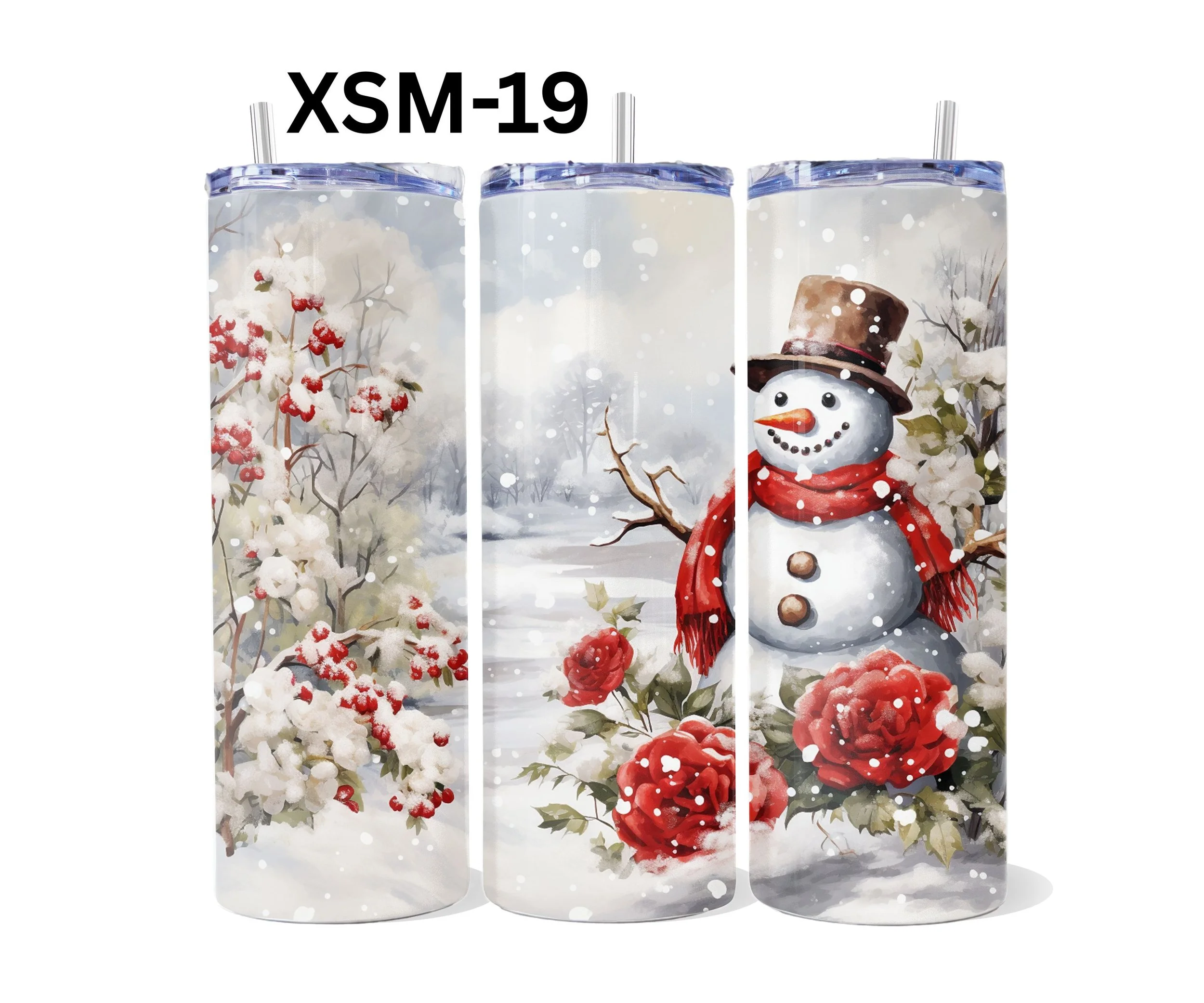 XSM-19.jpg