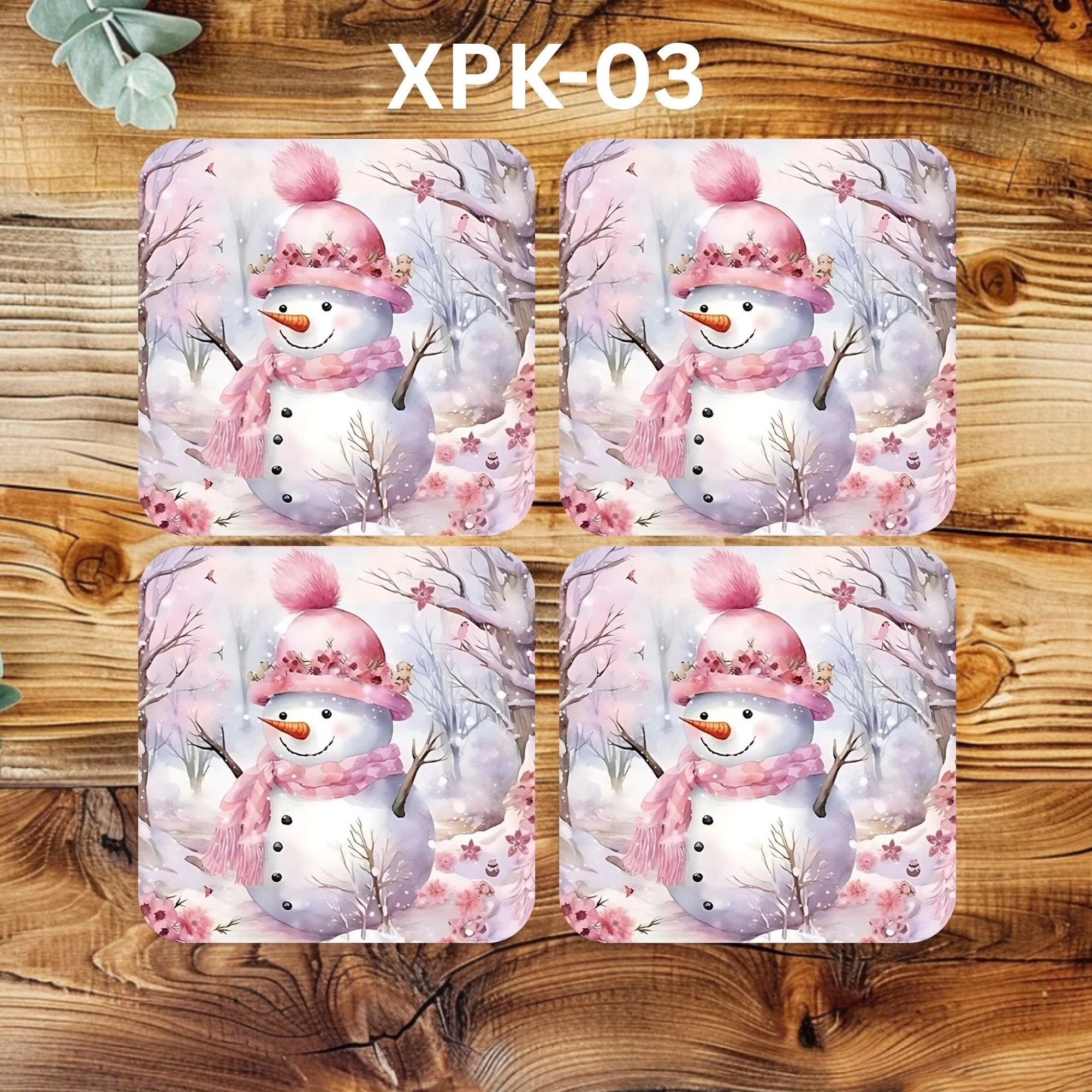 XPK-03 Coaster.jpg