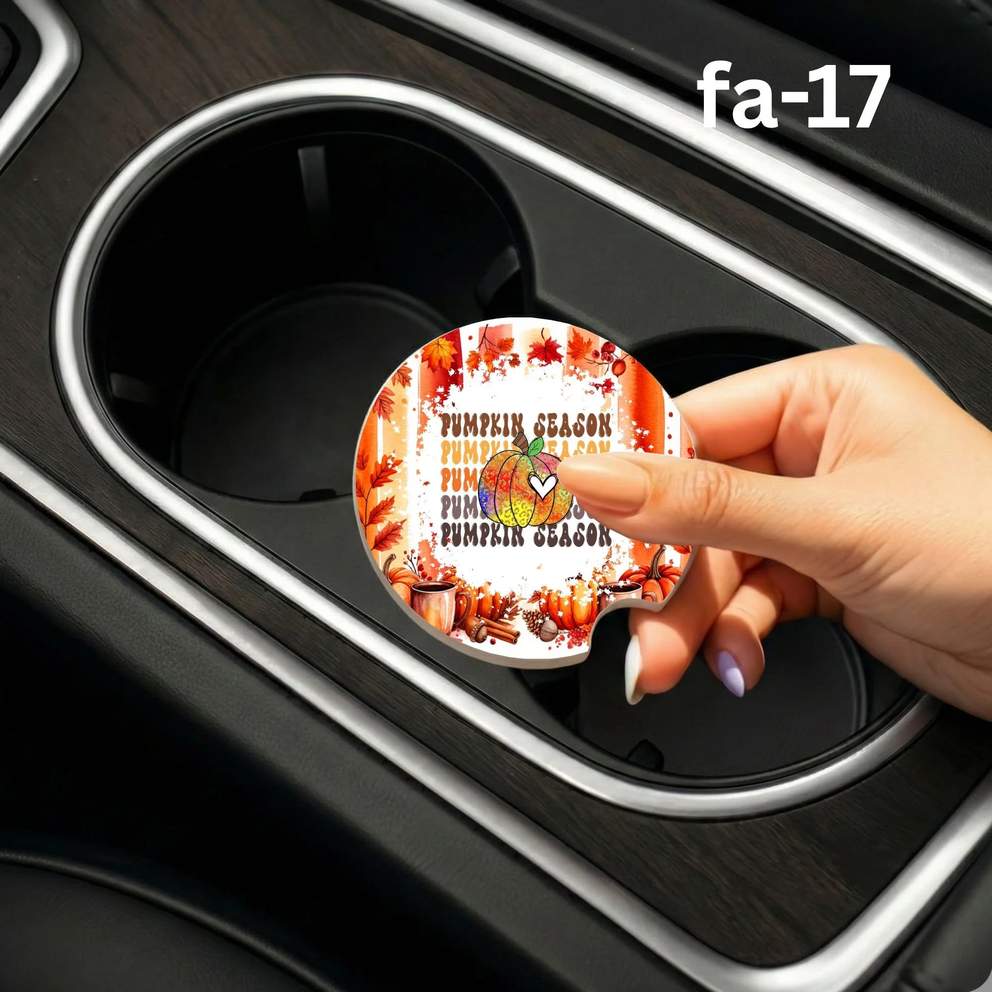 fa-17 Car Coaster.jpg