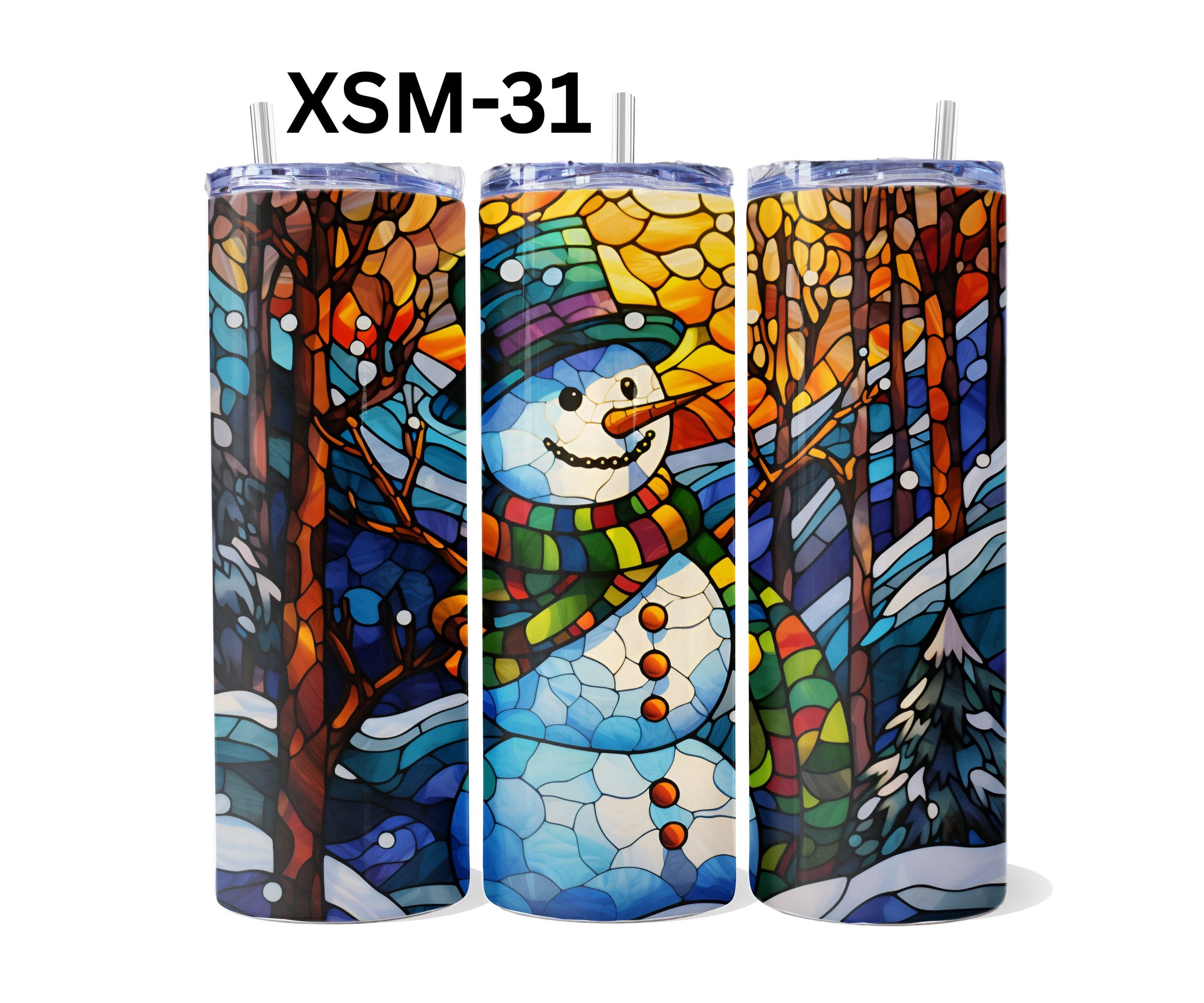 XSM-31.jpg