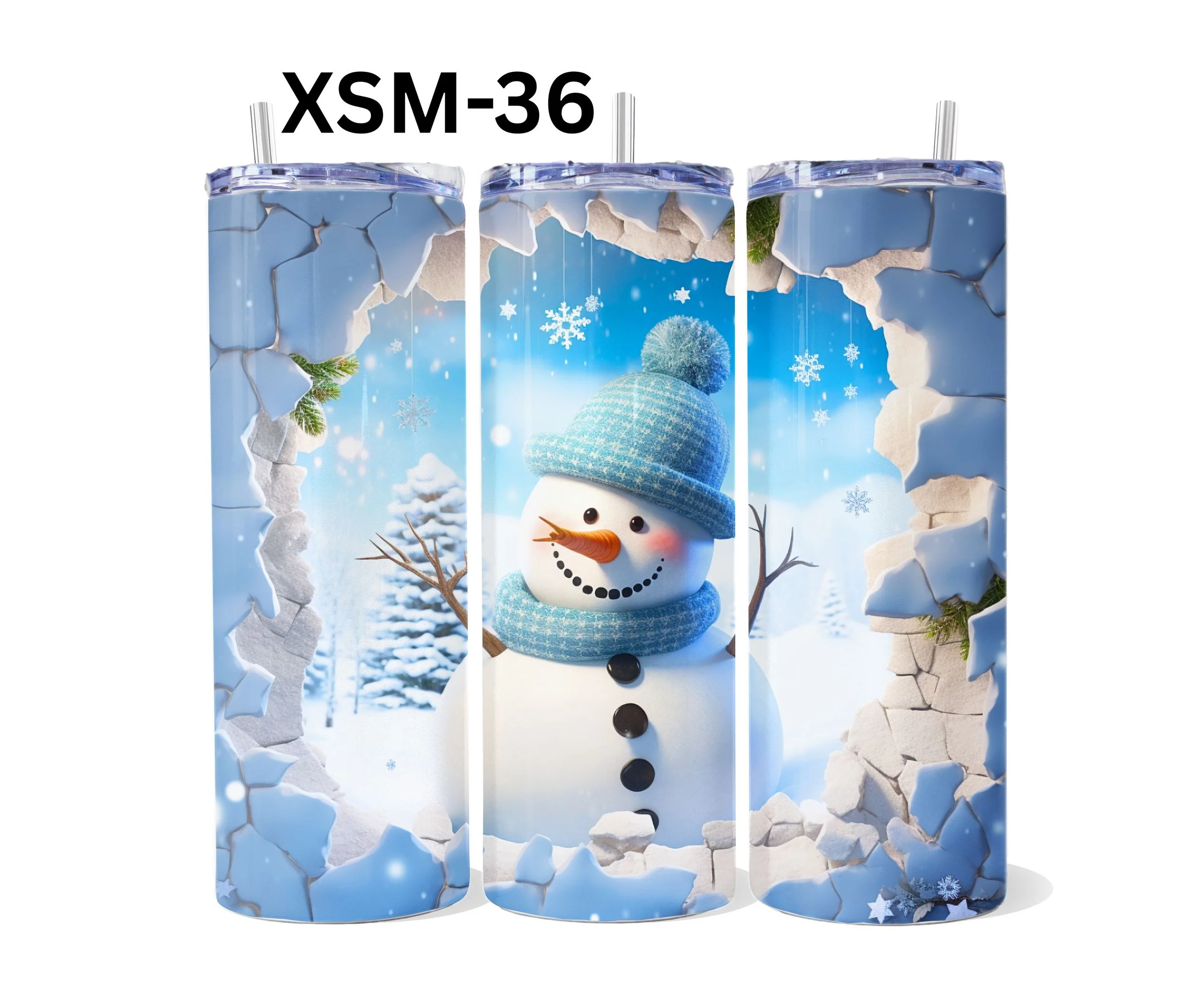 XSM-36.jpg