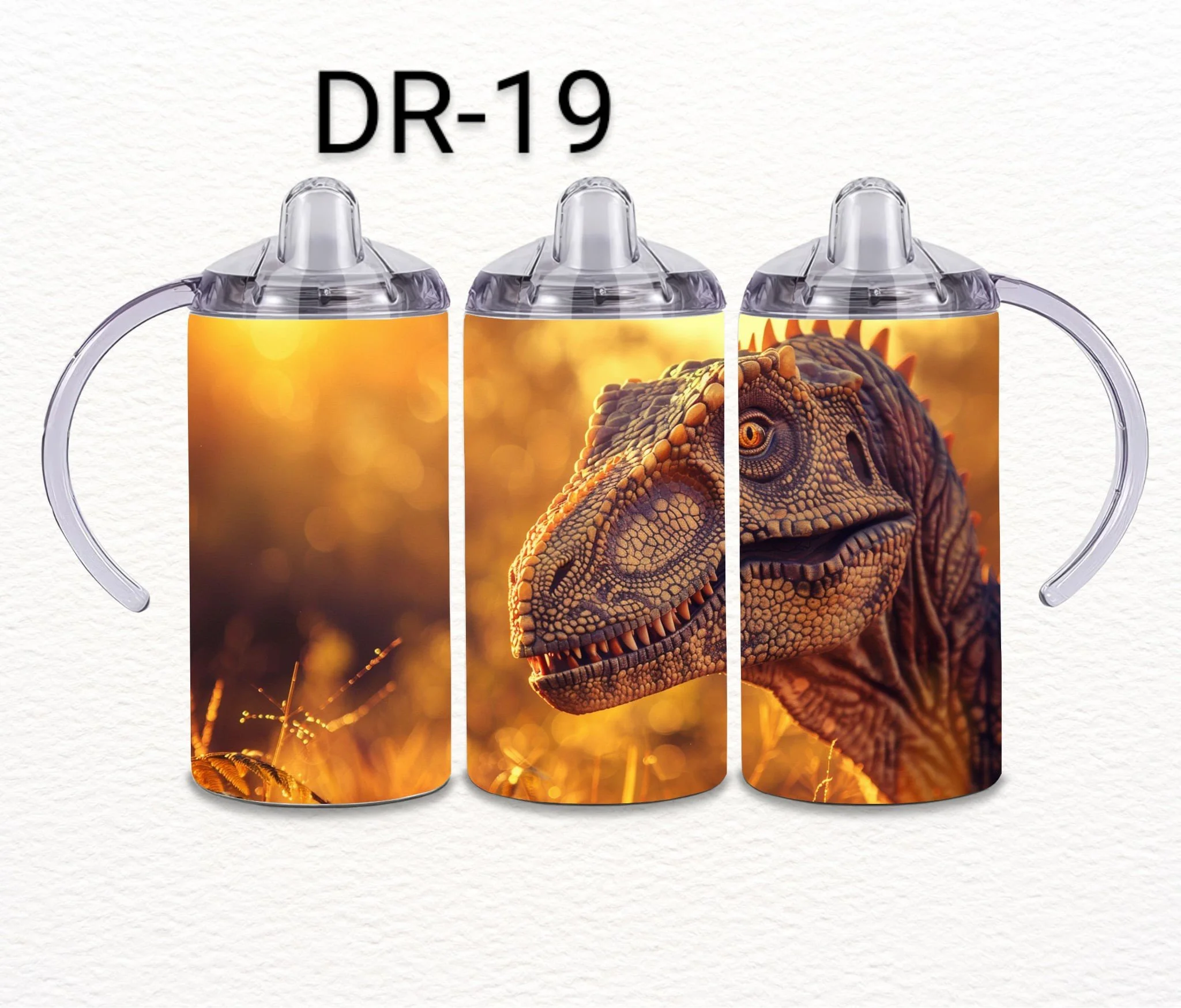 DR-19.jpeg
