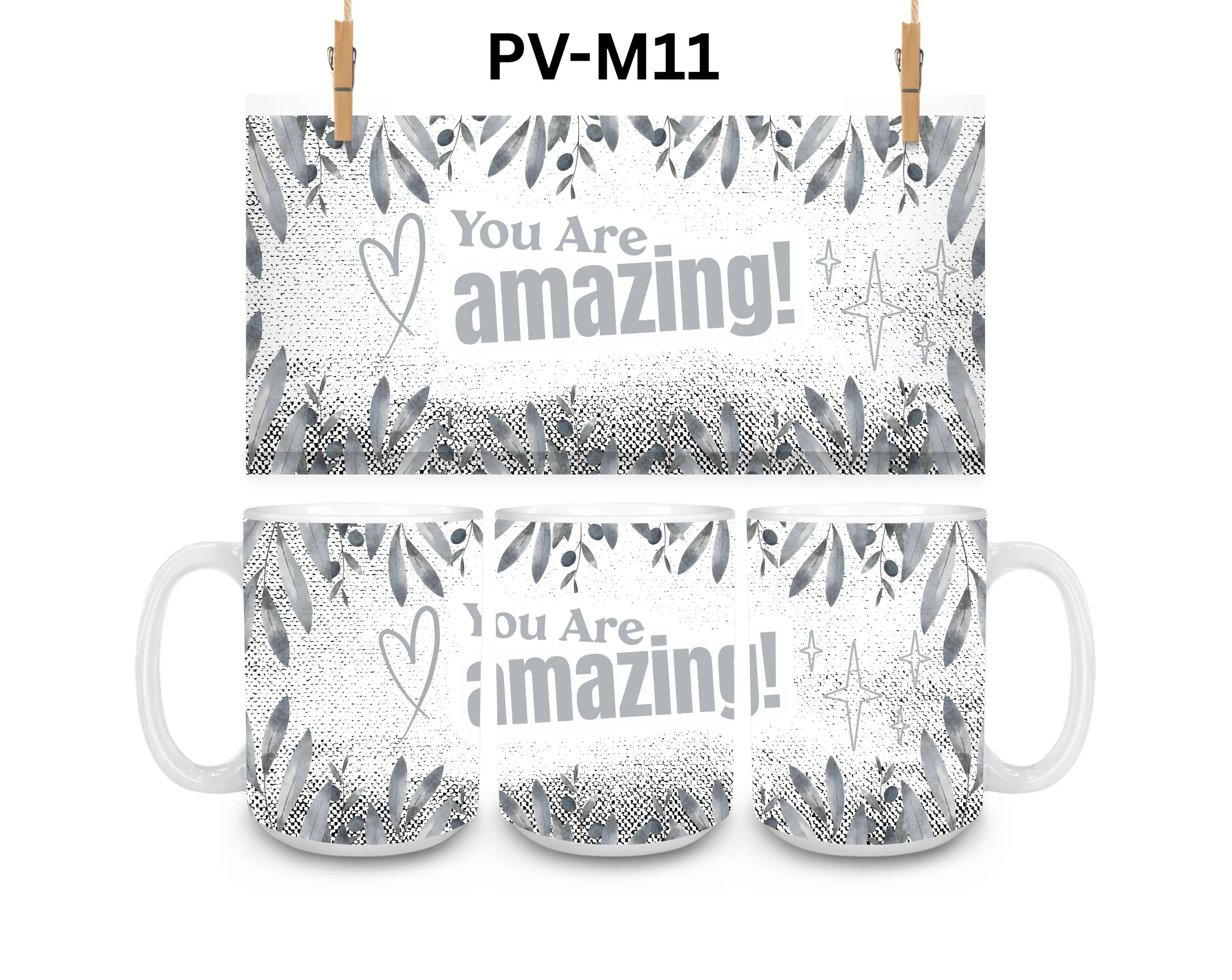 PV-M11.jpg