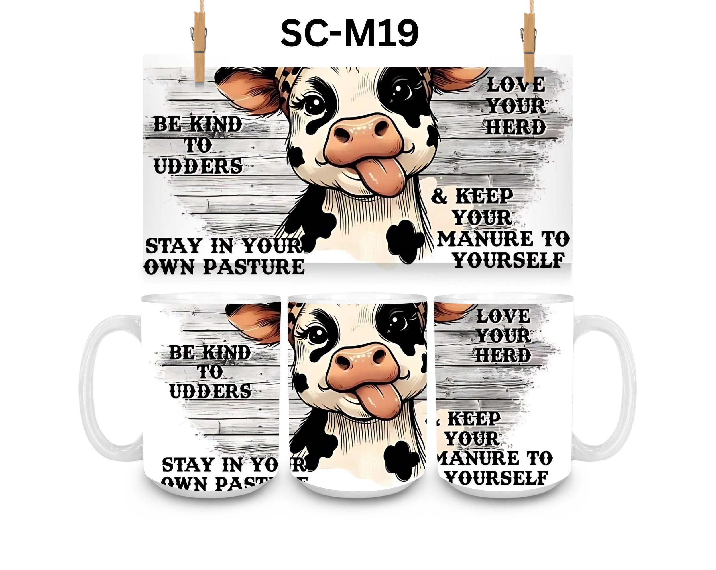 SC-M19.jpg