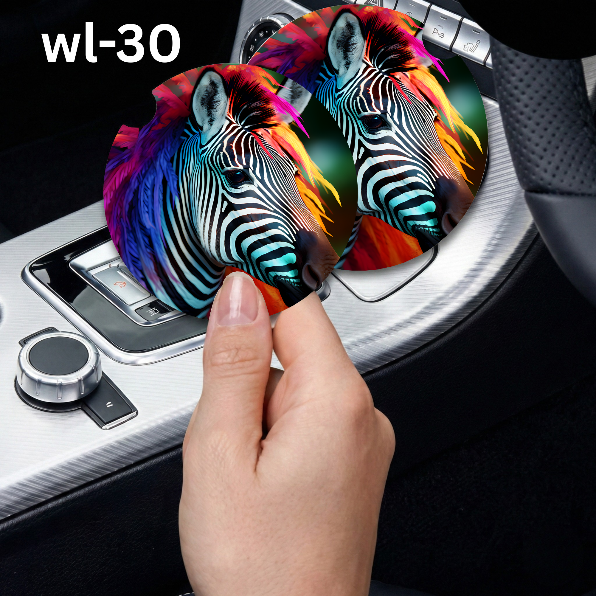 wl-30 Car Coaster.png