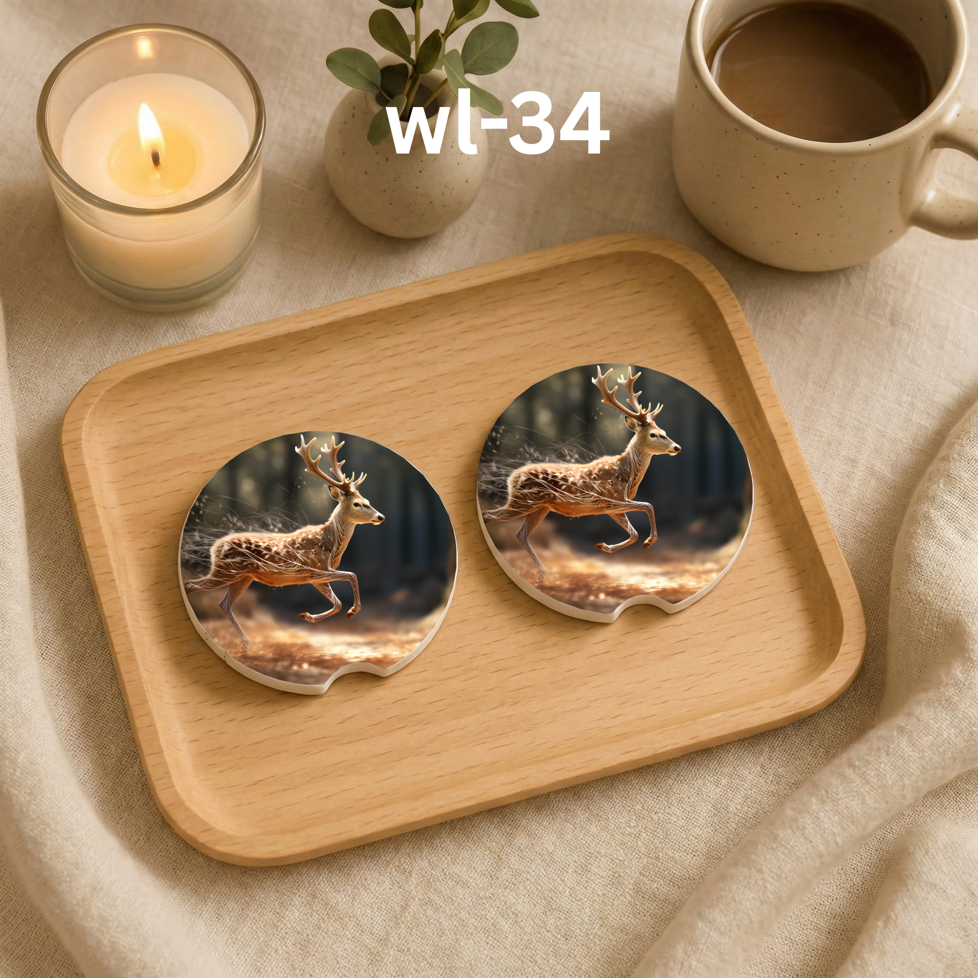 wl-34 Car Coaster.png