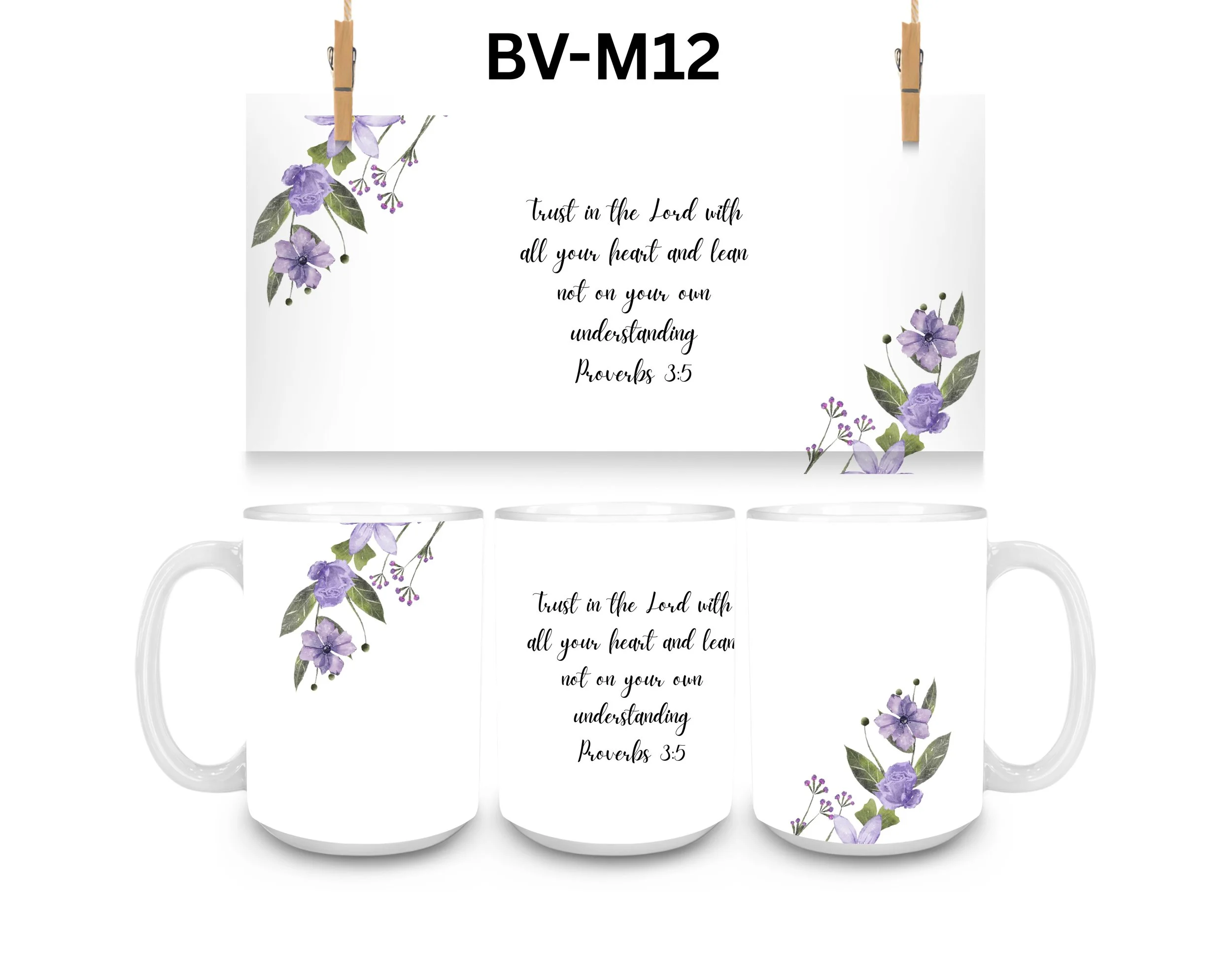 BV-M12.jpg