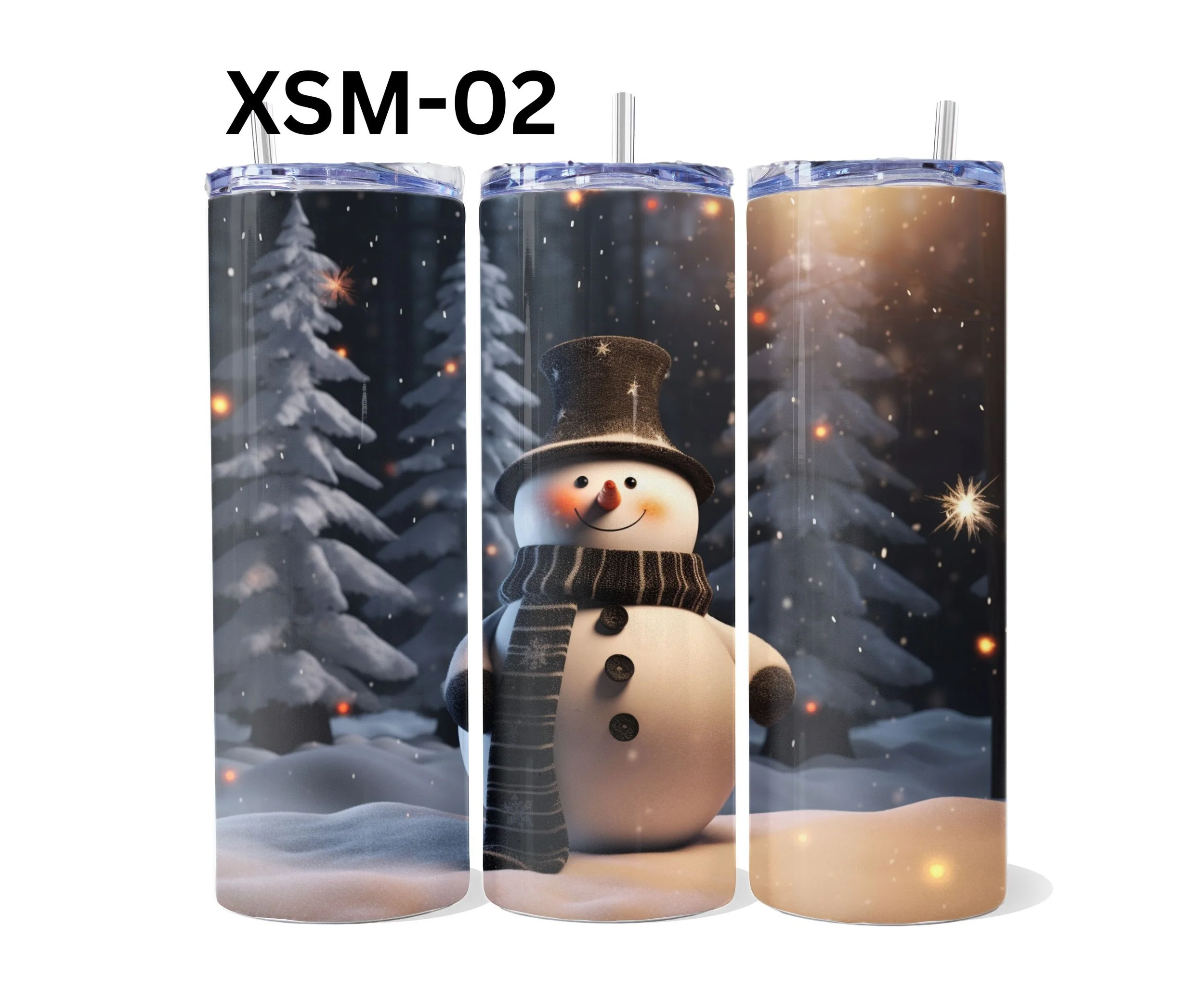 XSM-02.jpg