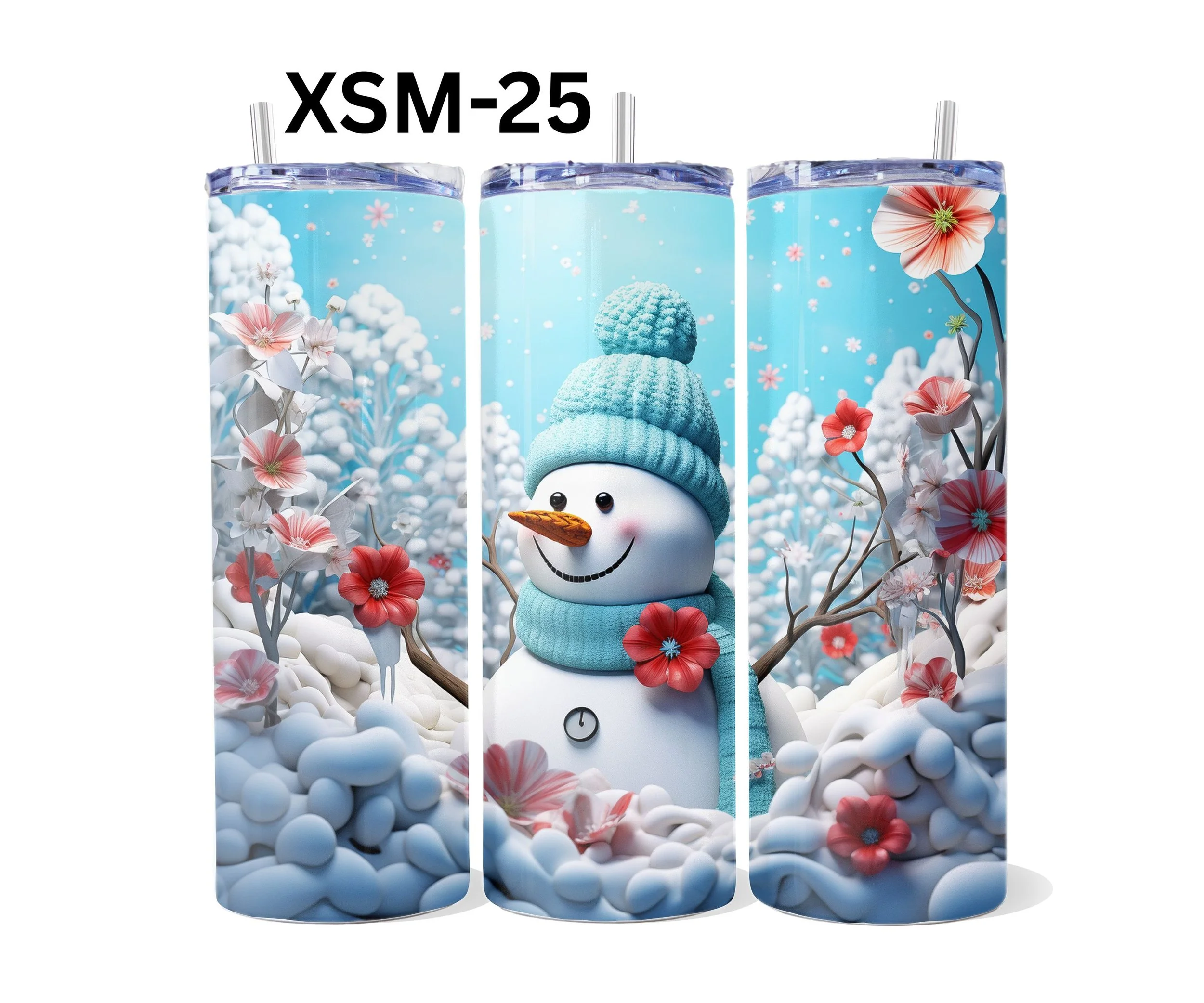 XSM-25.jpg