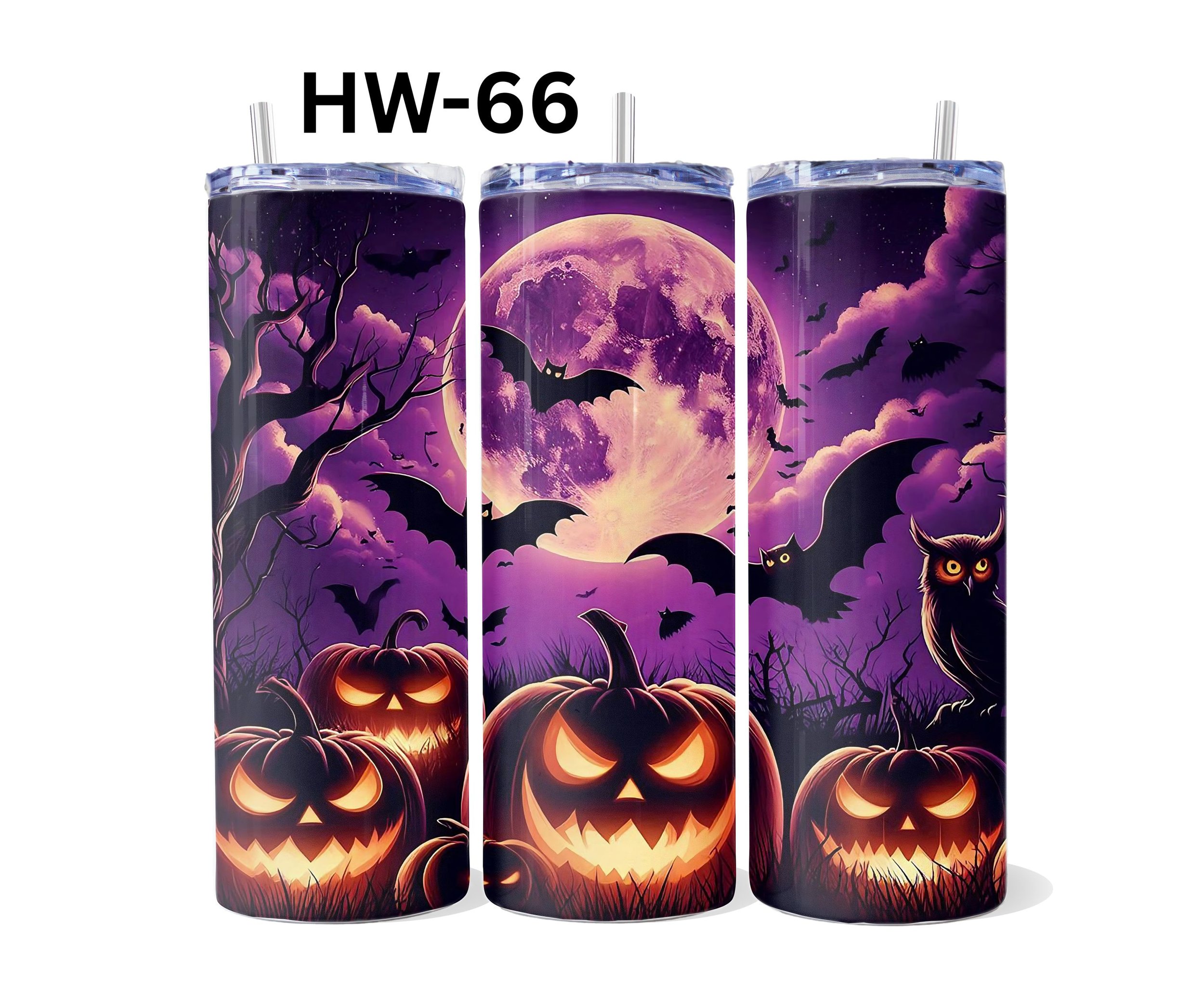 HW-66.jpg