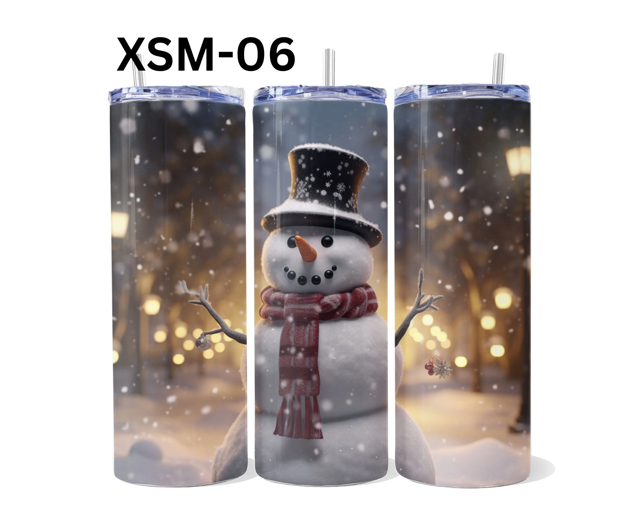 XSM-06.jpg