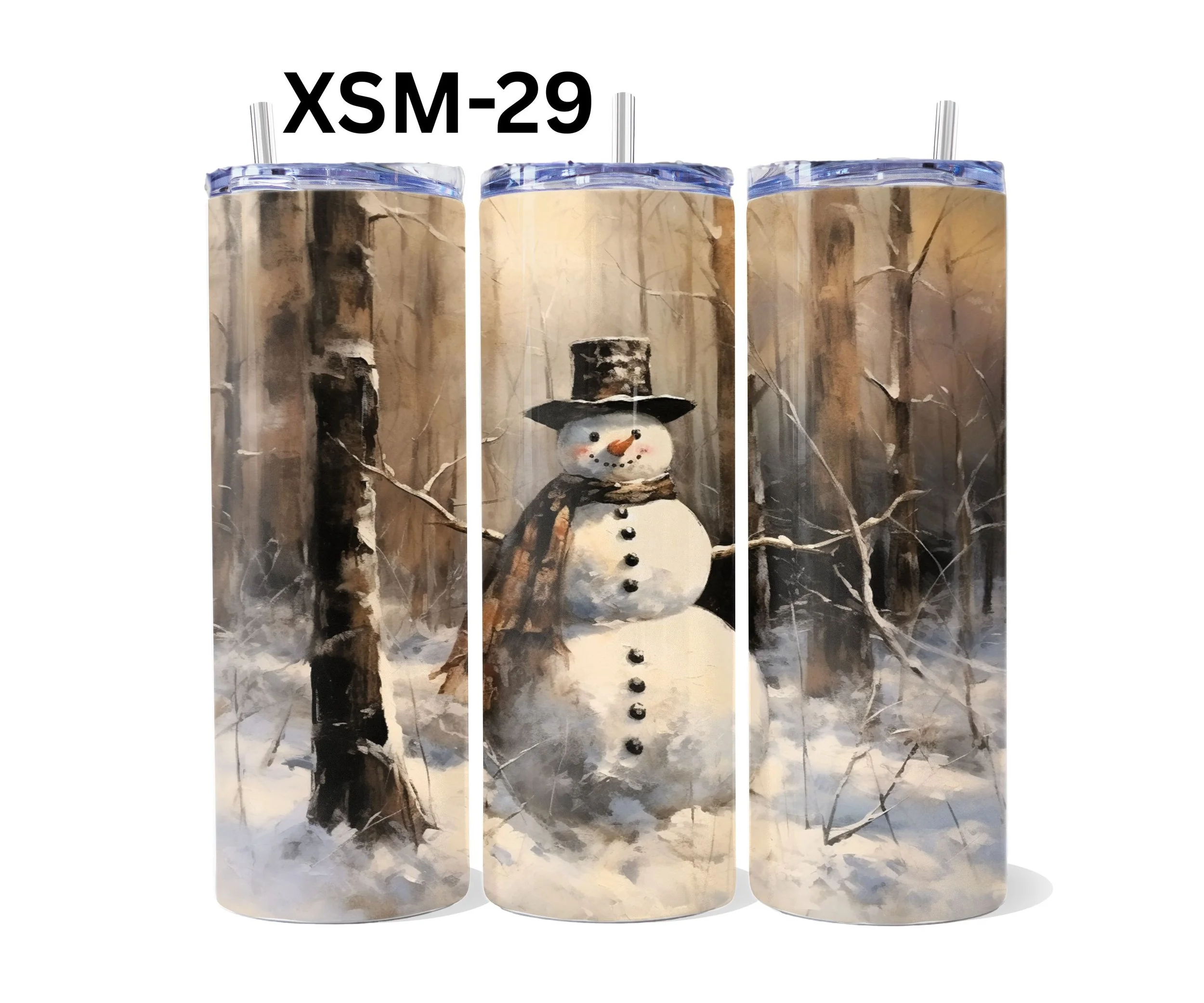 XSM-29.jpg