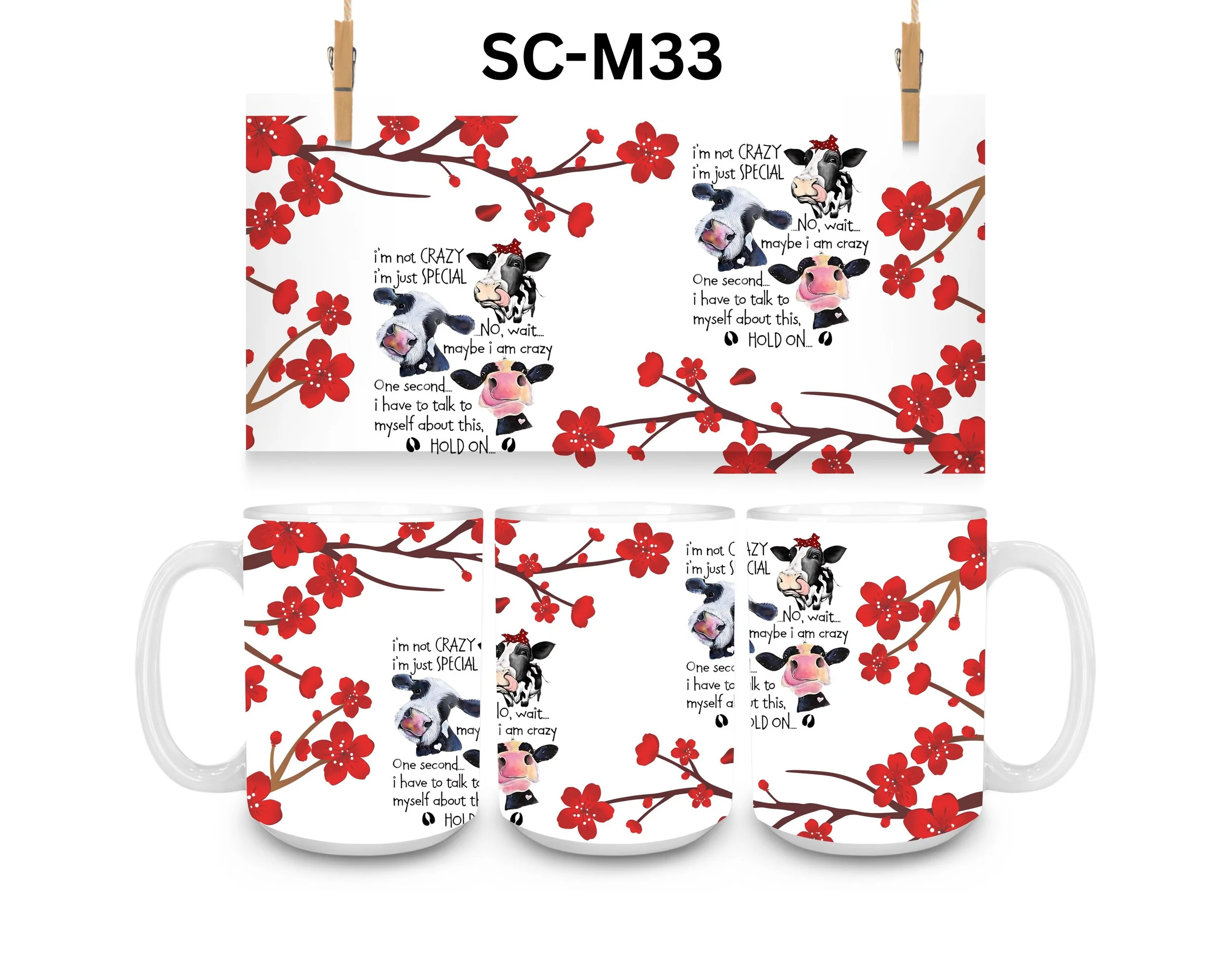 SC-M33.jpg