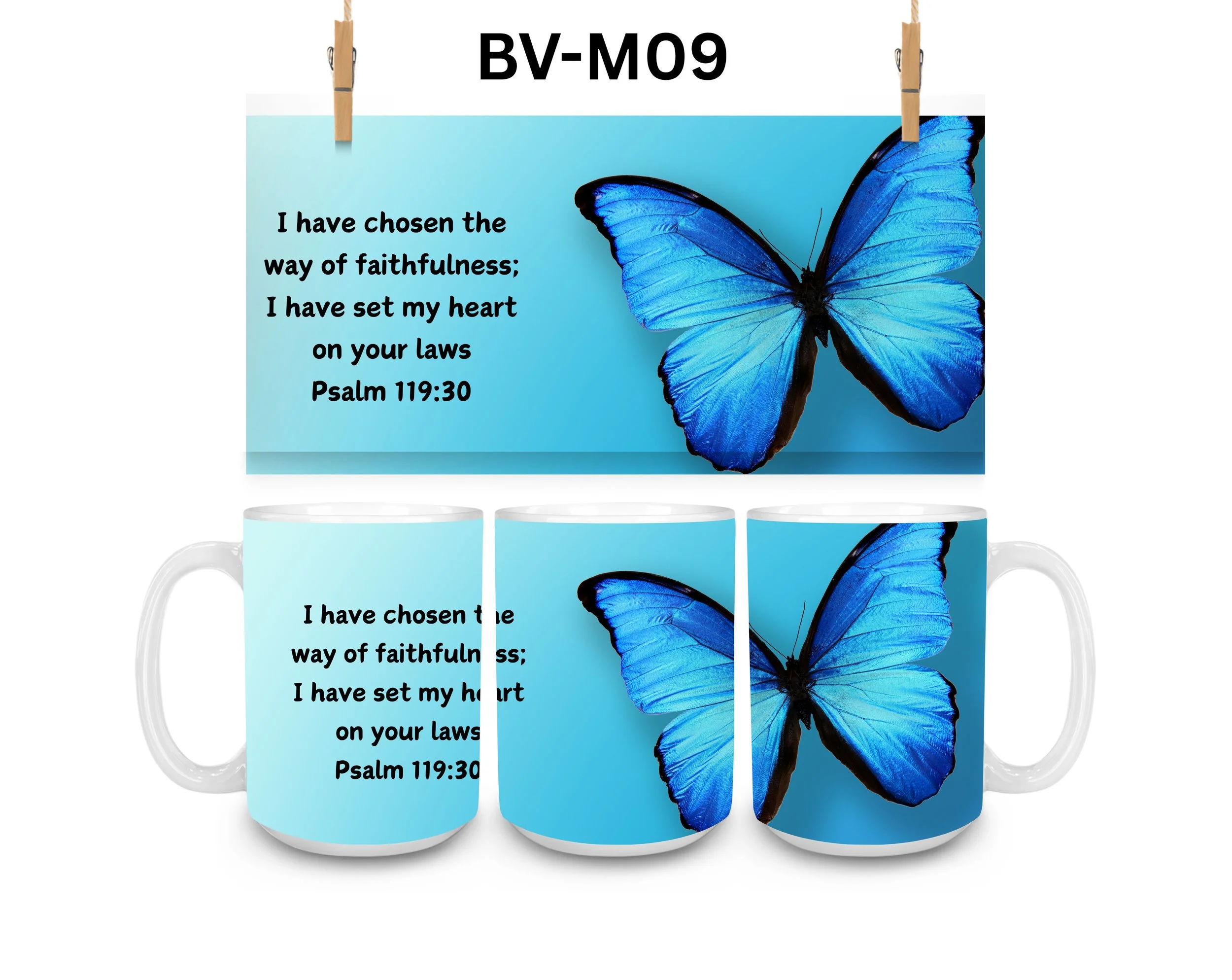 BV-M09.jpg
